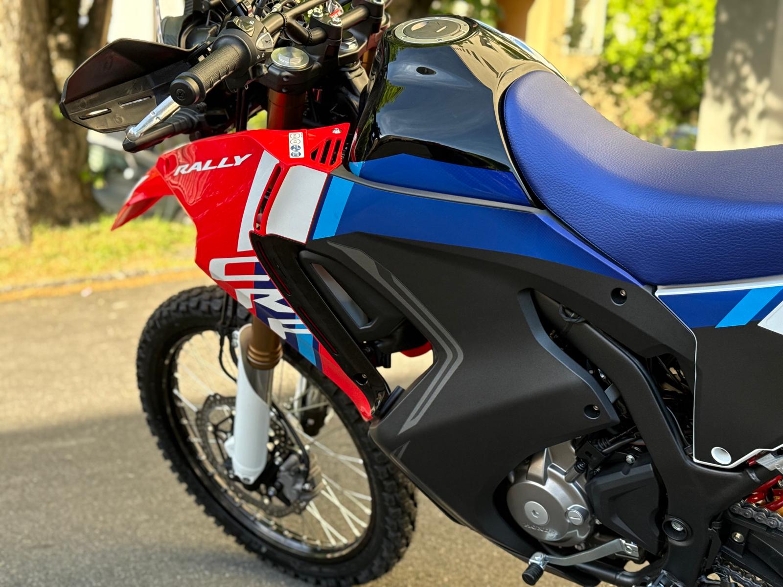 HONDA CRF 300 RL Rally-image-8