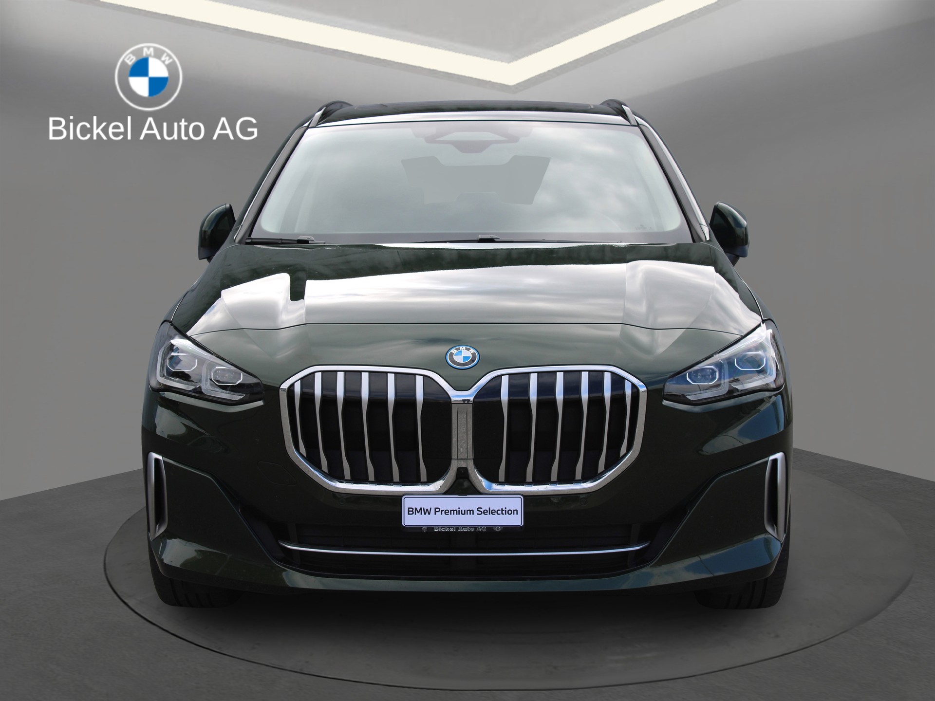 BMW 230e xDrive Luxury Line-image-2