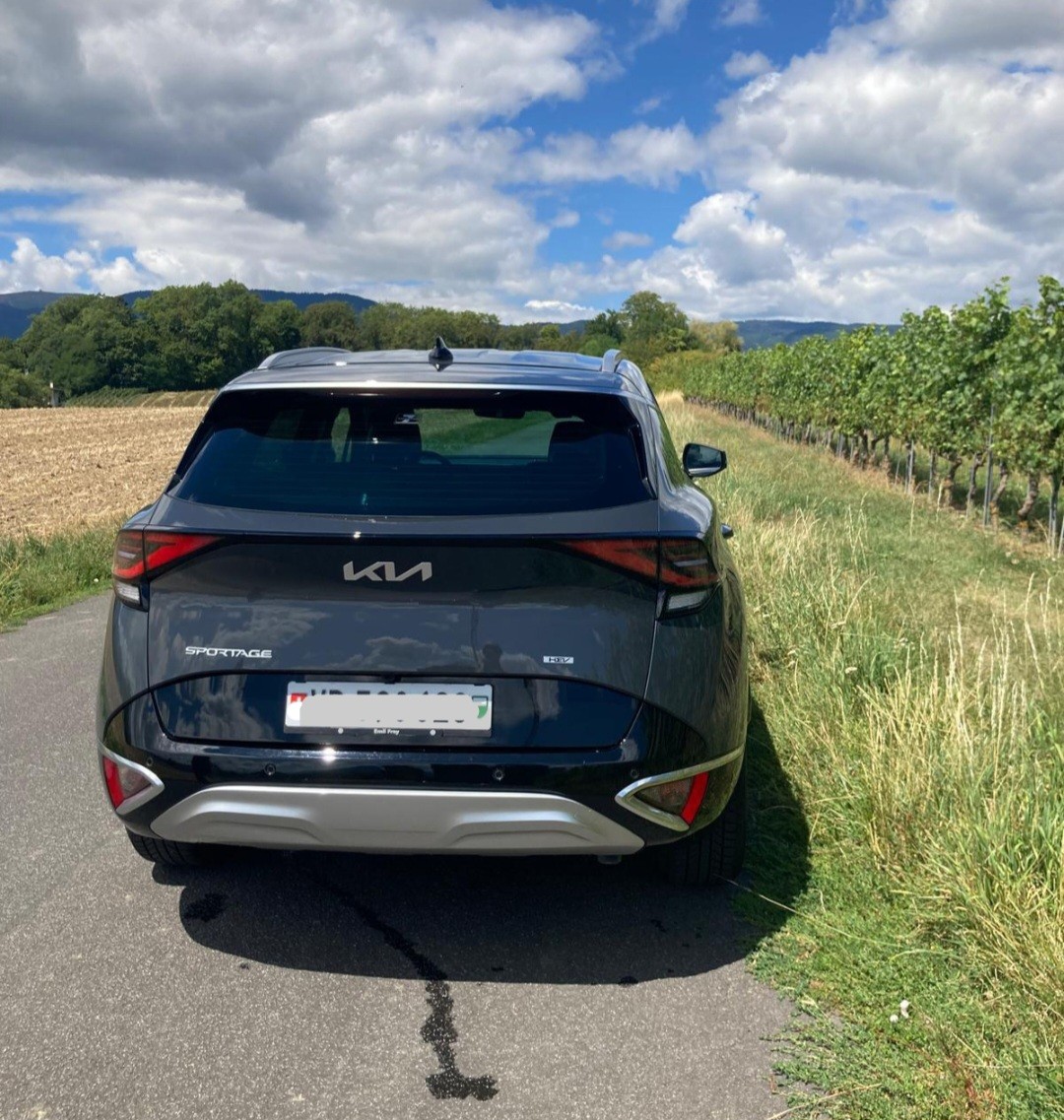 KIA 1.6 T-GDi Hybrid Style-image-5