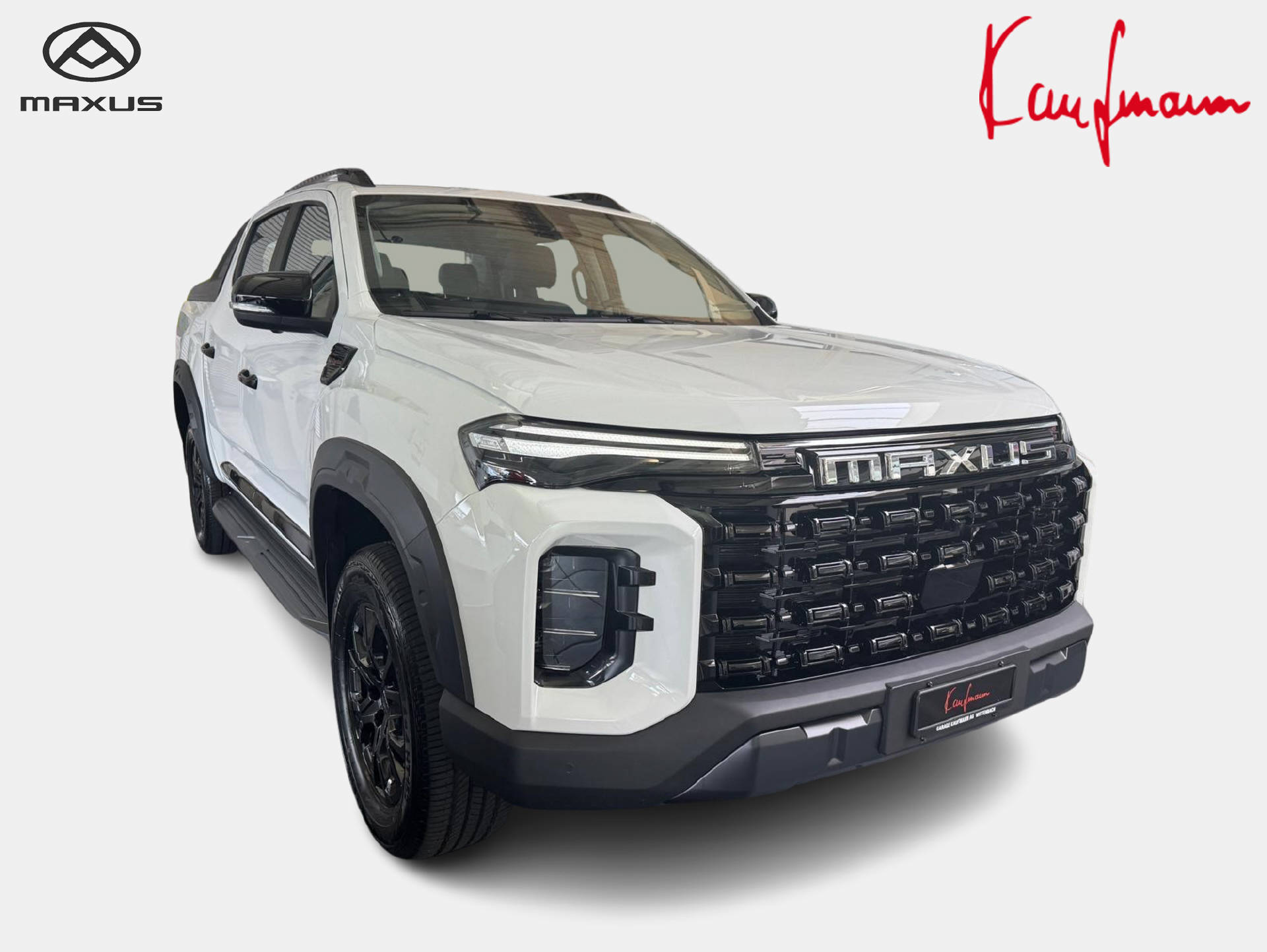 MAXUS T60-image-0