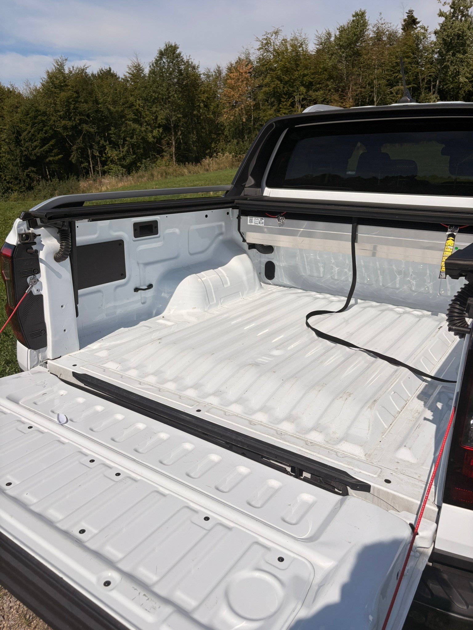 FORD 2.3 EcoBoost 4x4 Wildtrak PHEV-image-3