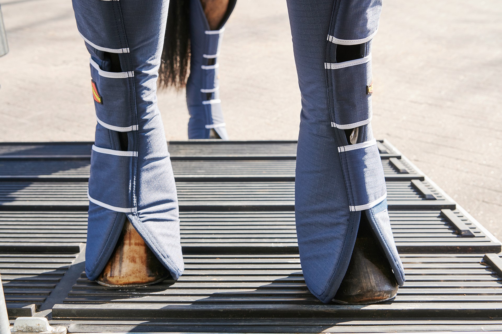 BÖCKMANN Big Master WCF-image-8