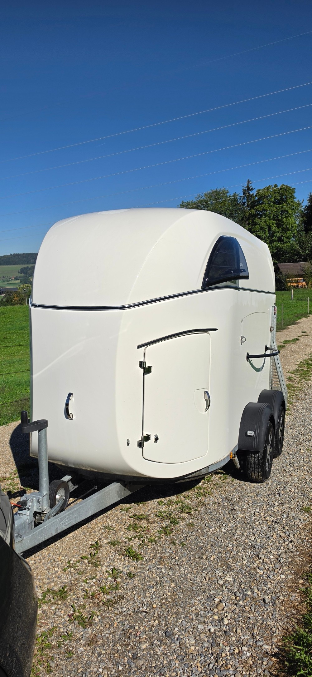 BÖCKMANN Big Master WCF-image-1