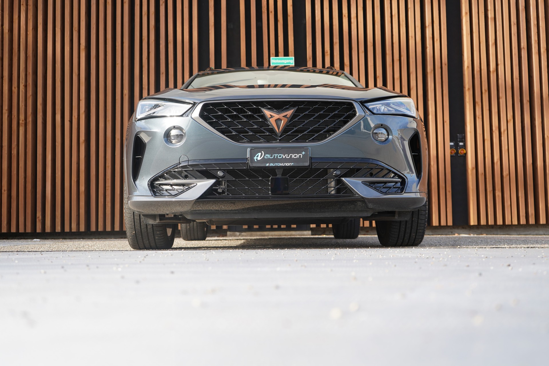 CUPRA FORMENTOR 2.0TSI VZ DSG l 245 PS-image-15