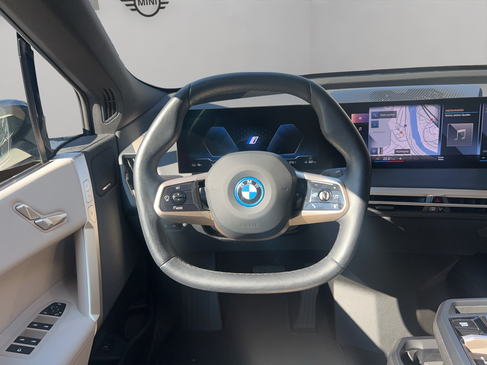 BMW iX xDrive40-image-14