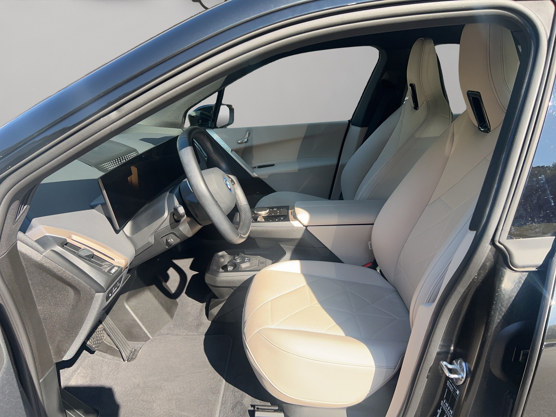 BMW iX xDrive40-image-11