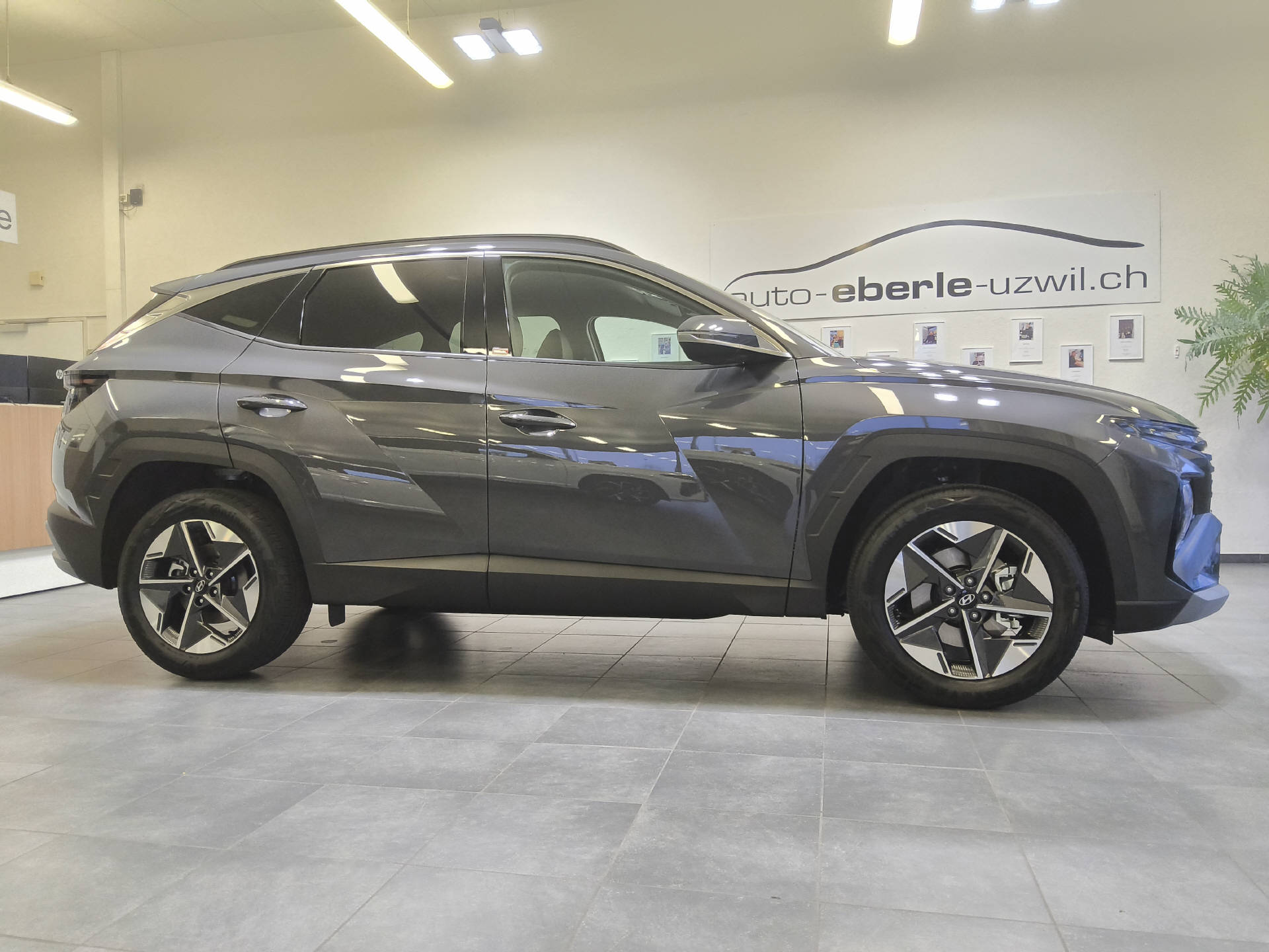 HYUNDAI Tucson 1.6 T-GDi HEV Amplia 4WD-showroom-element-1