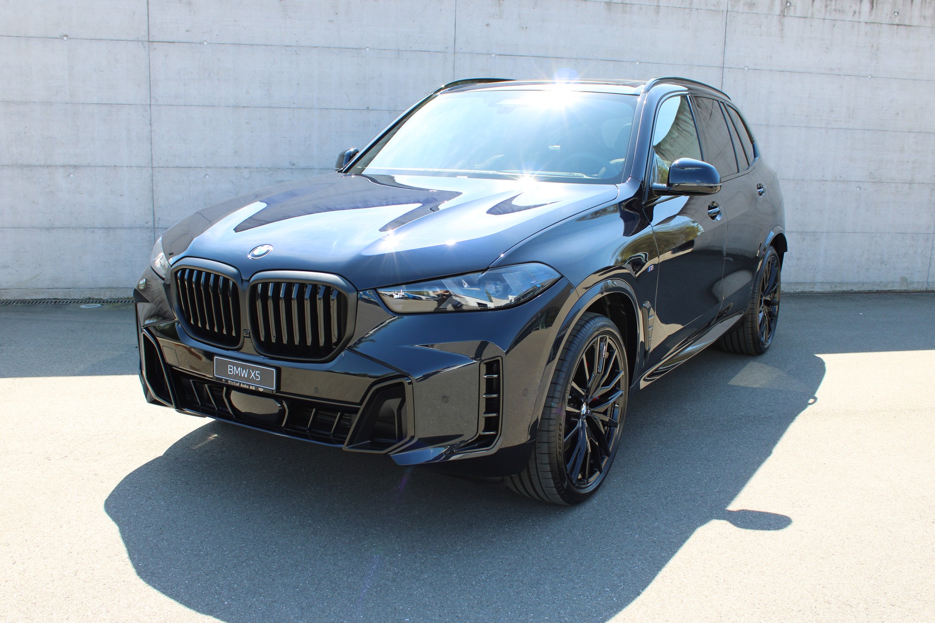 BMW X5 xDrive 40d M Sport Pro-image-1