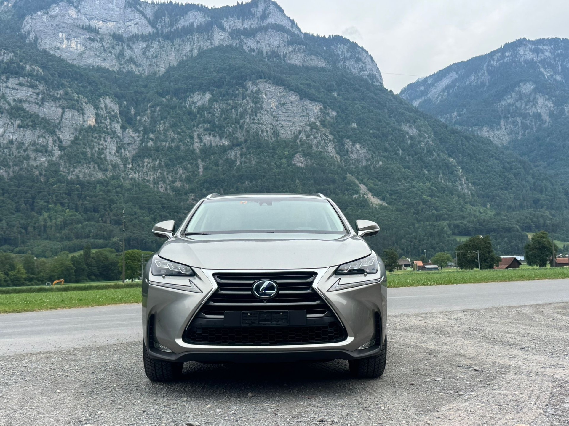 LEXUS NX 300h comfort E-Four Automatic-image-0