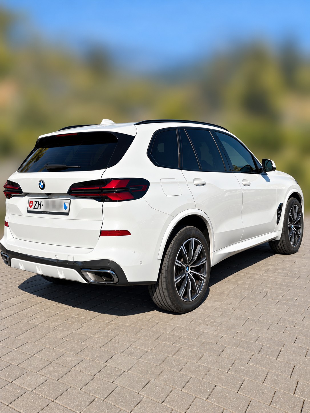 BMW 30d xDrive SAG-image-2