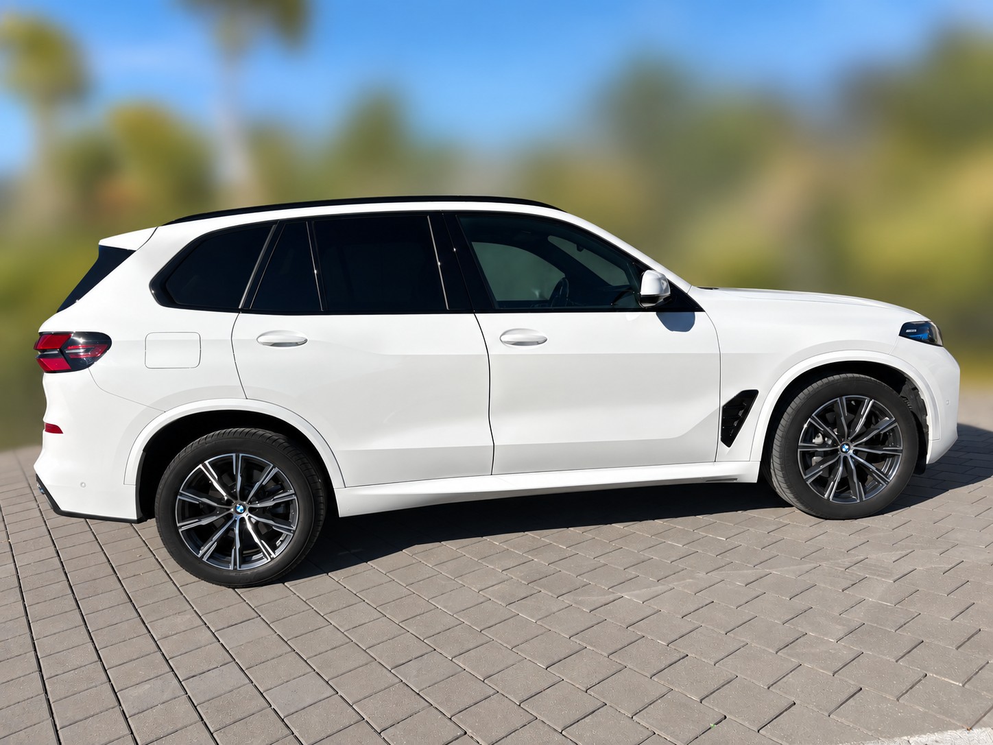 BMW 30d xDrive SAG-image-1