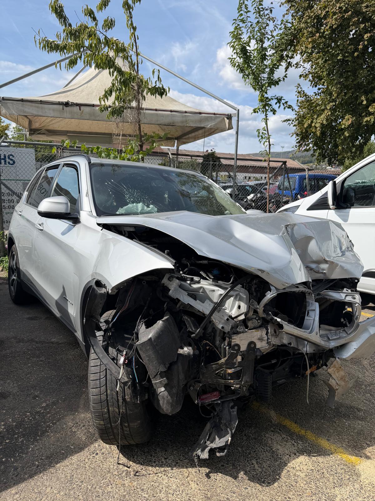 BMW X5 xDrive 25d Steptronic-image-2