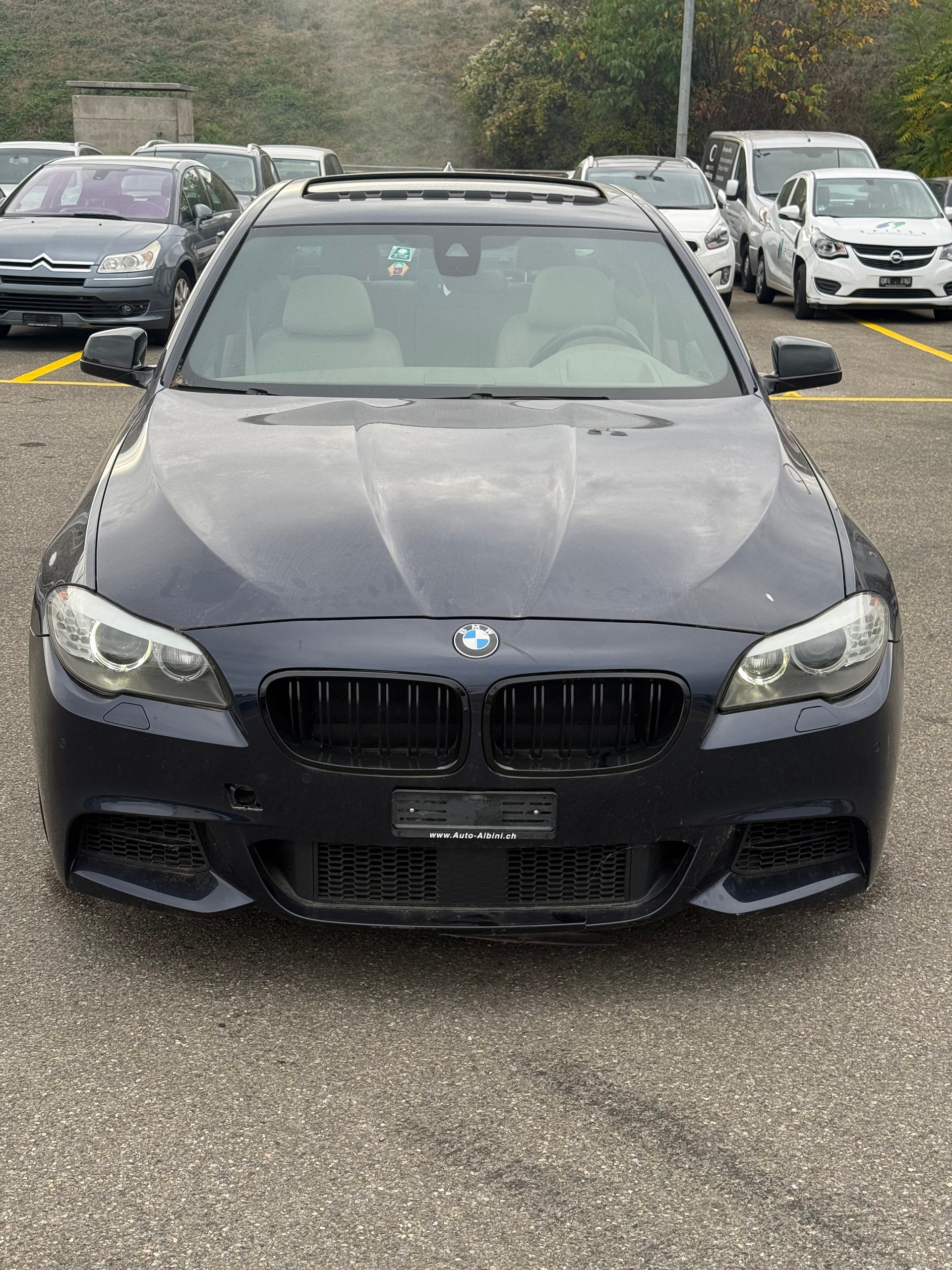 BMW M550d xDrive Steptronic-image-1