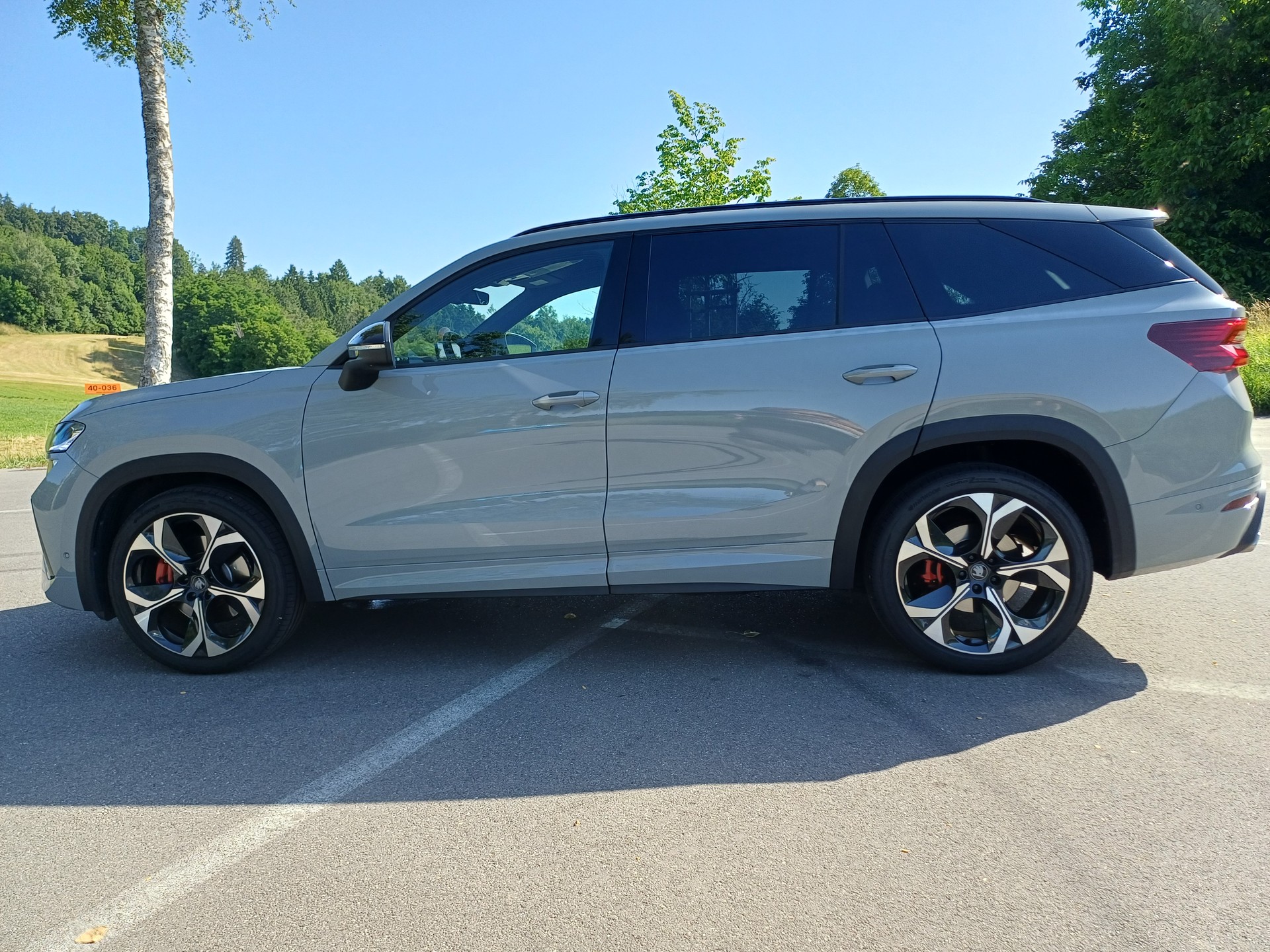 SKODA 2.0 TSI RS-image-3