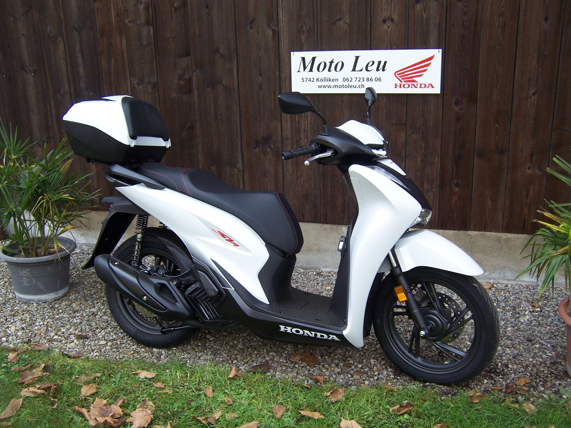HONDA SH 125 Sporty-image-4