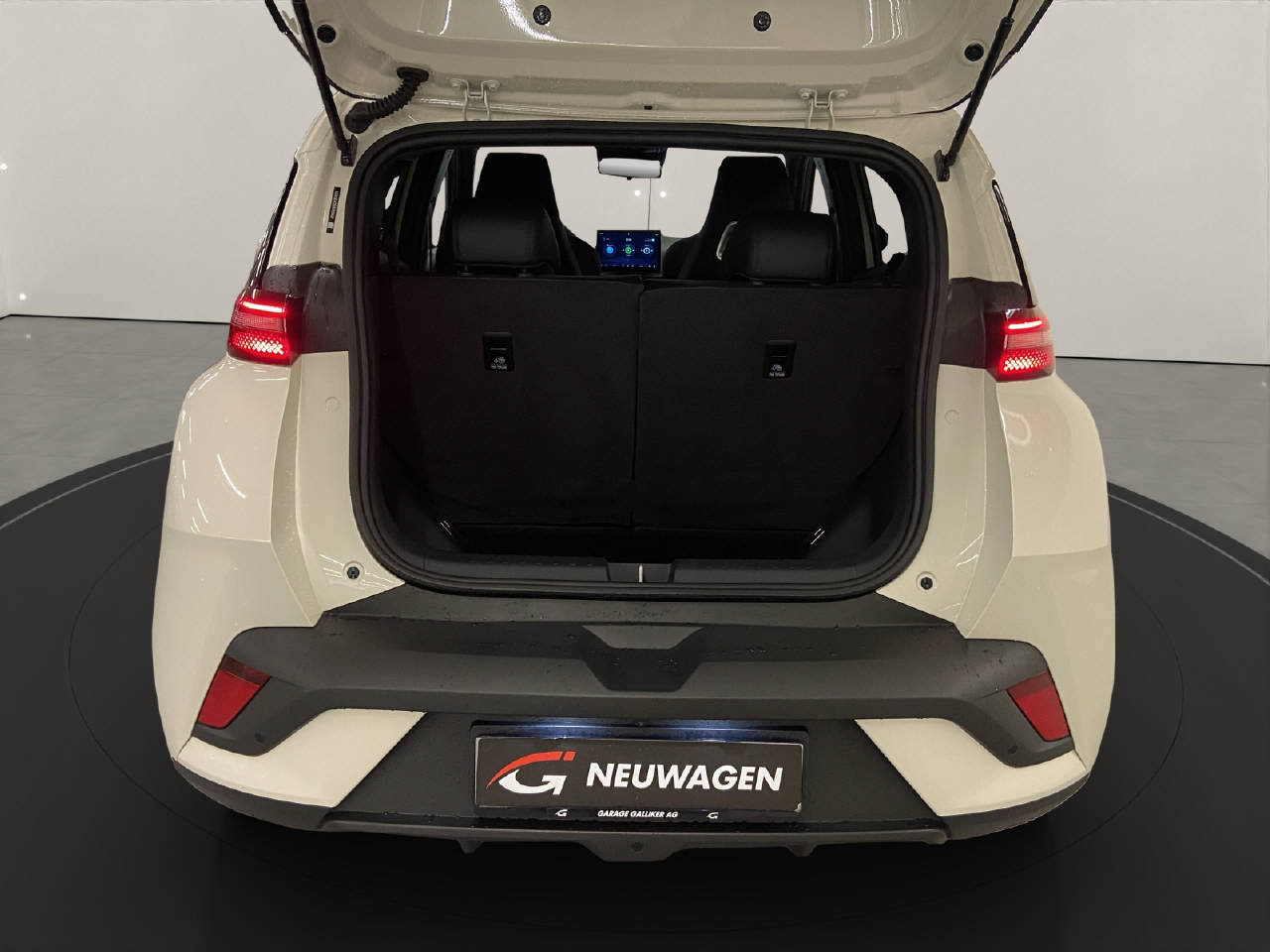 BYD Dolphin Surf Comfort-image-12