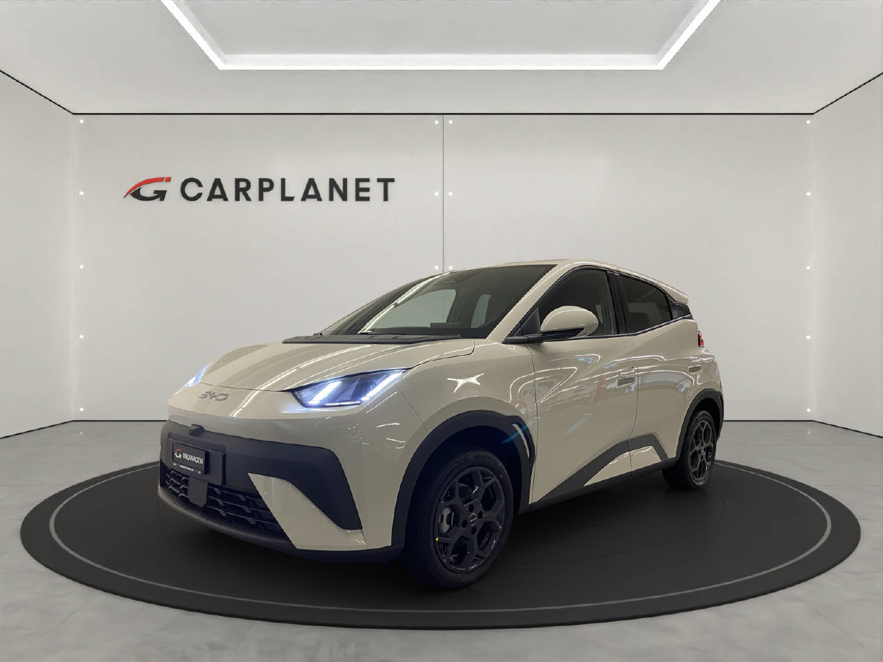 BYD Dolphin Surf Comfort-image-0