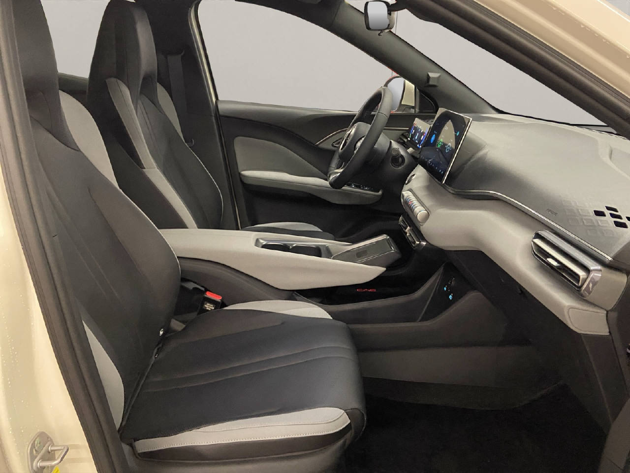 BYD Dolphin Surf Comfort-image-11