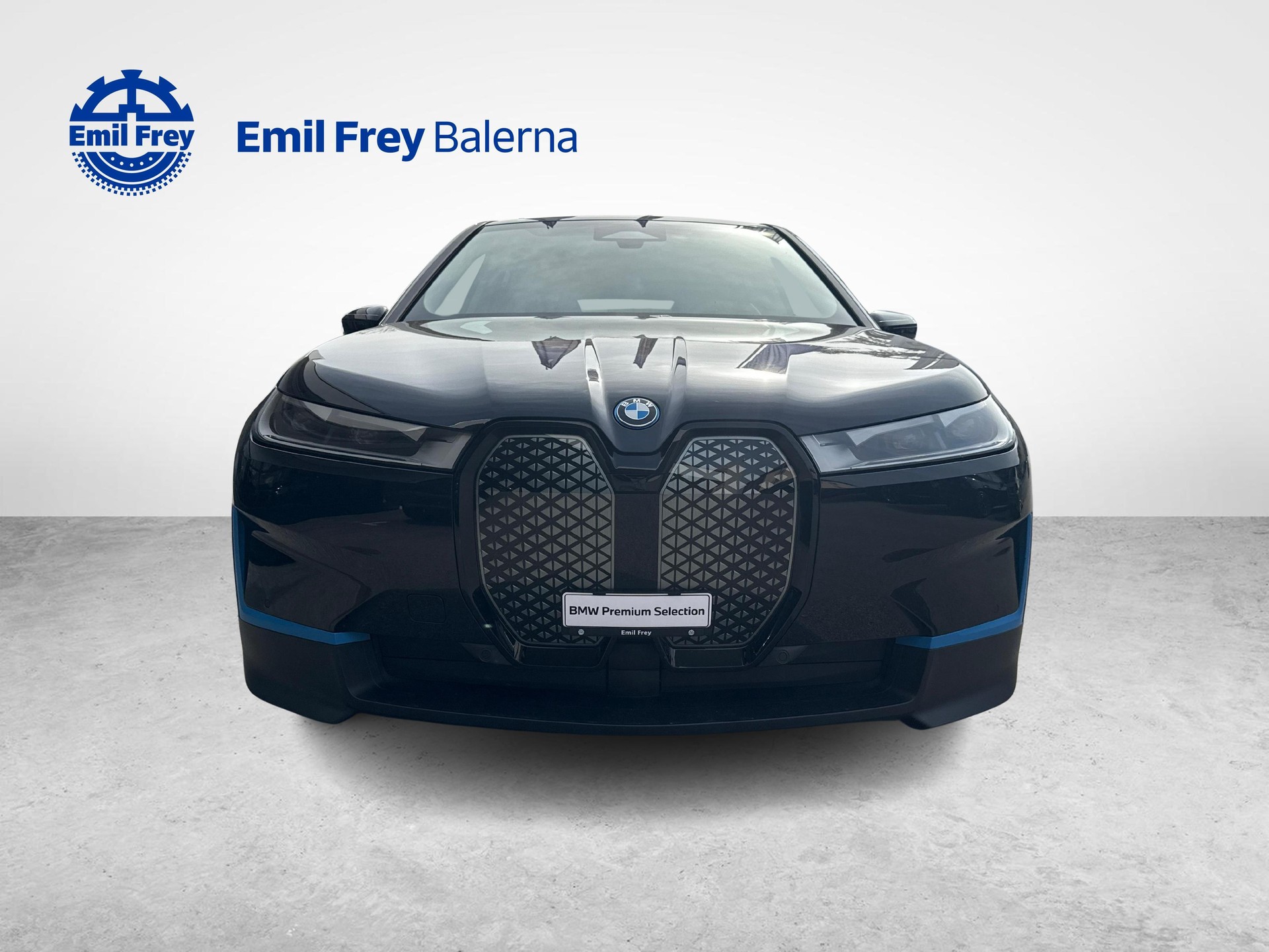 BMW iX xDrive40-image-10