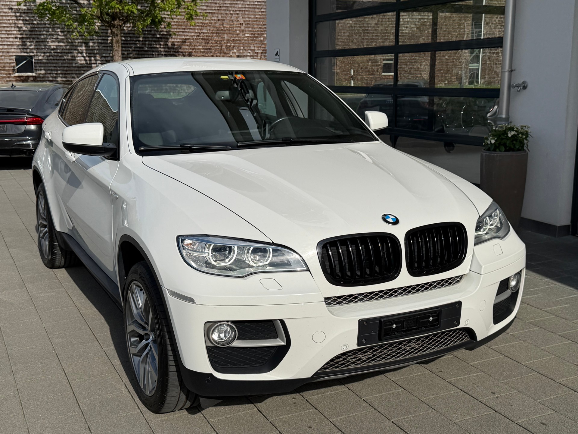 BMW X6 xDrive 40d Steptronic-image-9