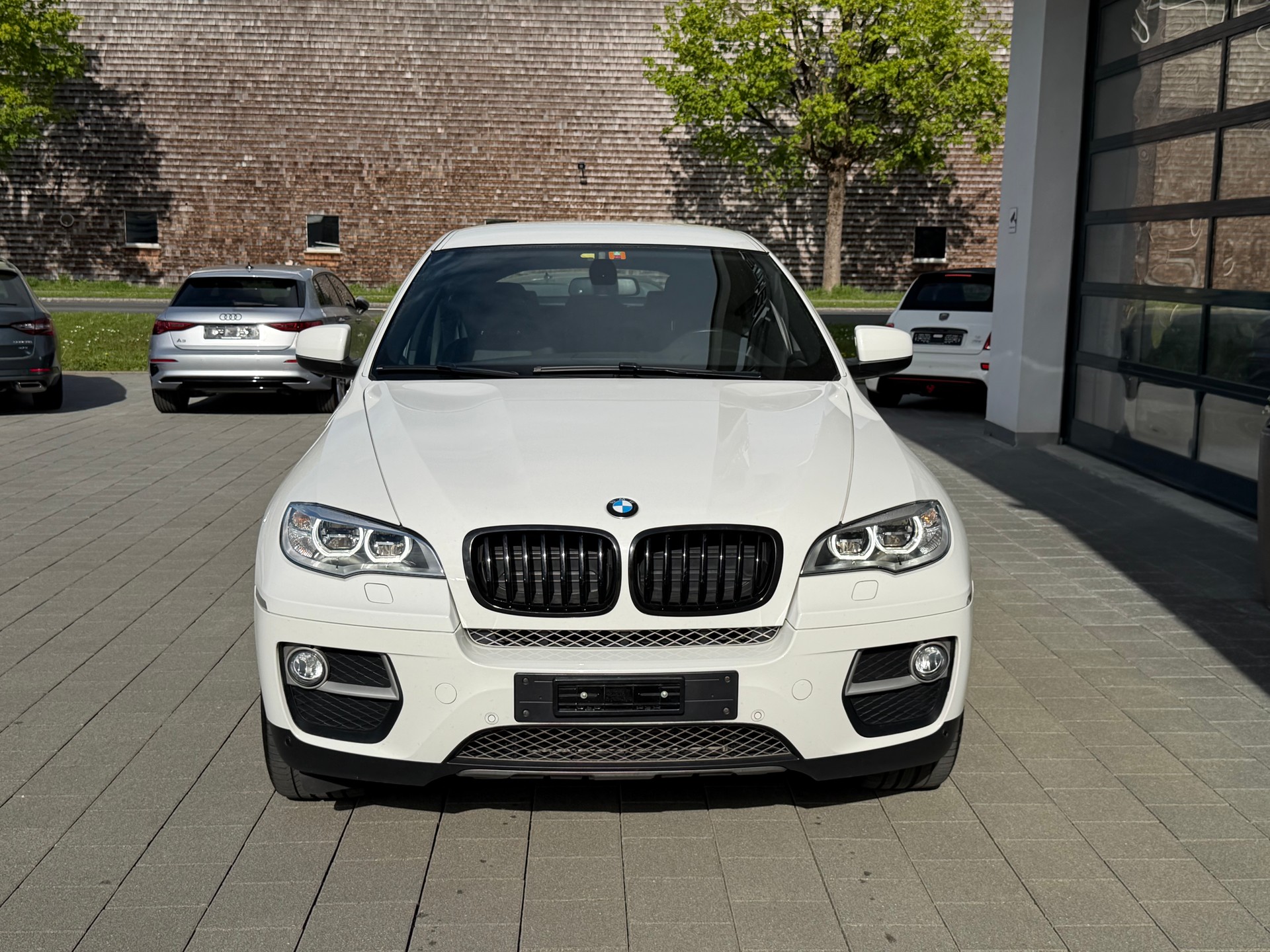 BMW X6 xDrive 40d Steptronic-image-11