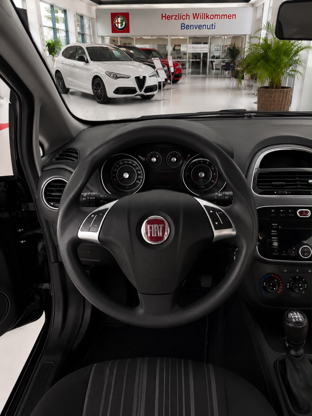 FIAT Punto Evo 1.4 MyLife-image-6