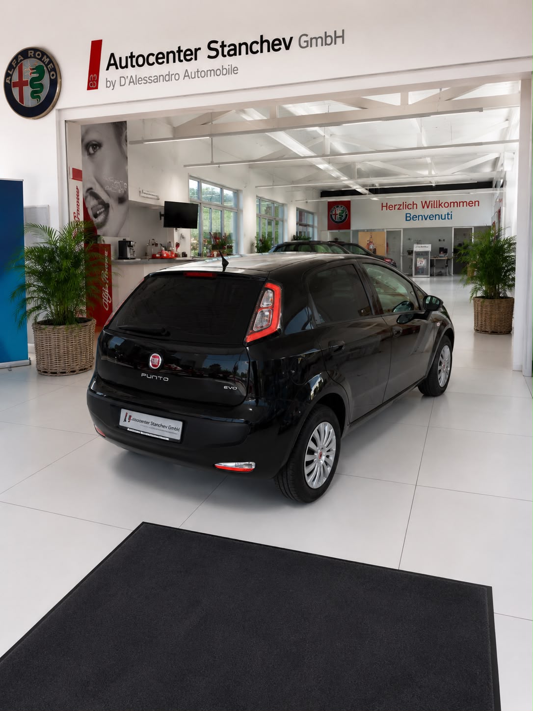 FIAT Punto Evo 1.4 MyLife-showroom-element-3