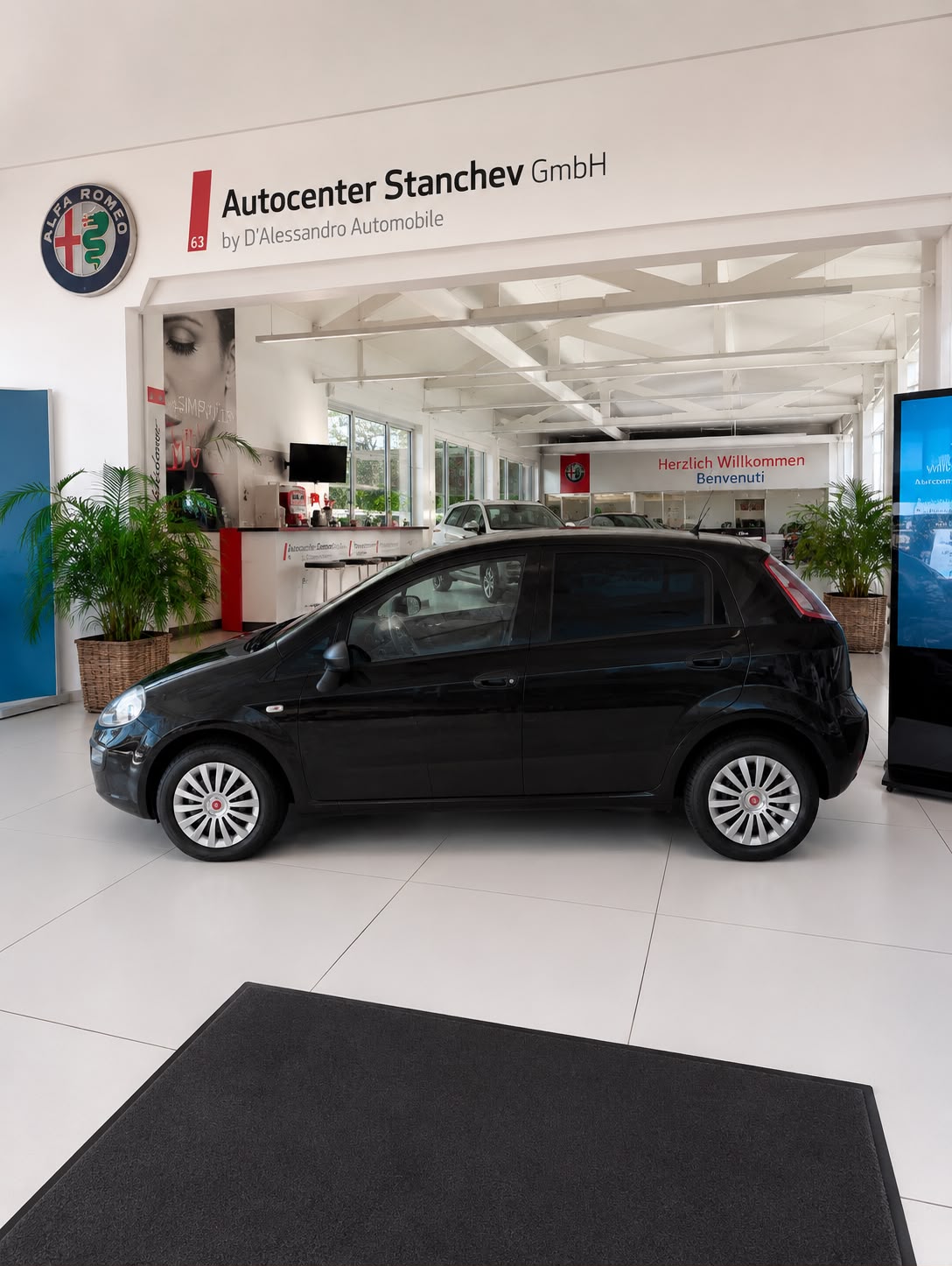 FIAT Punto Evo 1.4 MyLife-showroom-element-1