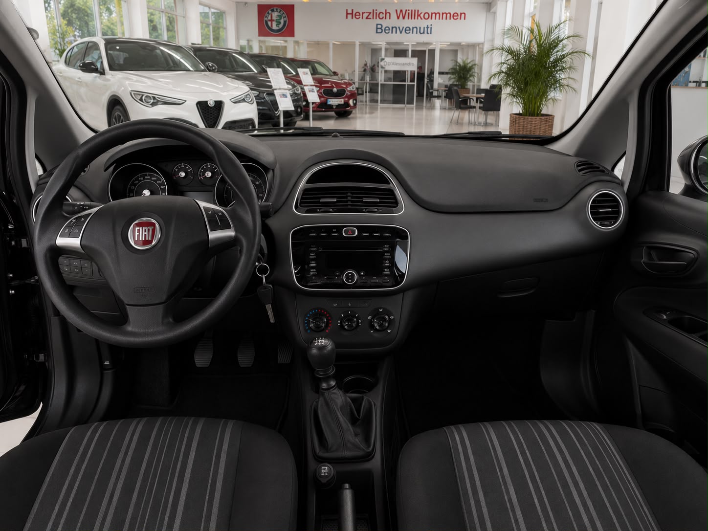 FIAT Punto Evo 1.4 MyLife-image-5