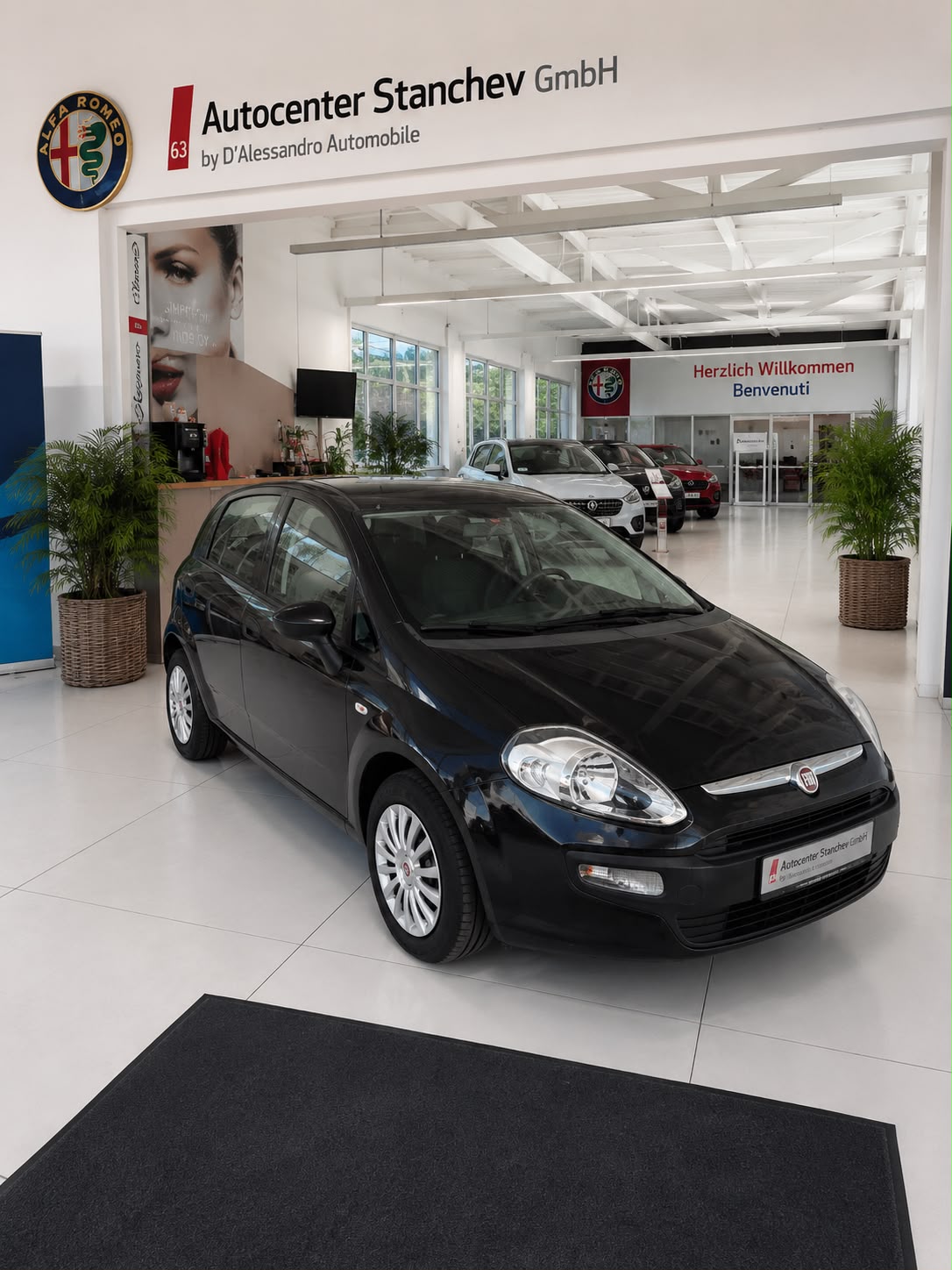 FIAT Punto Evo 1.4 MyLife-showroom-element-2