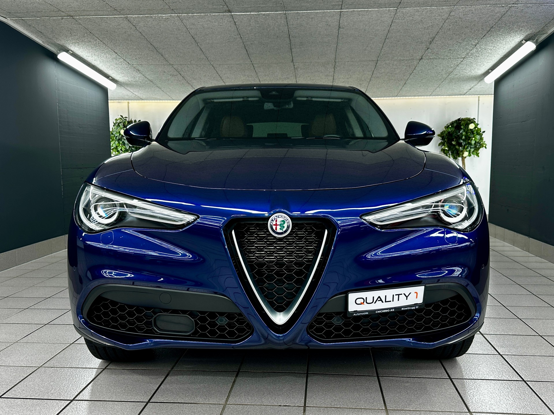 ALFA ROMEO Stelvio 2.0 Executive Q4 Automatic-image-8