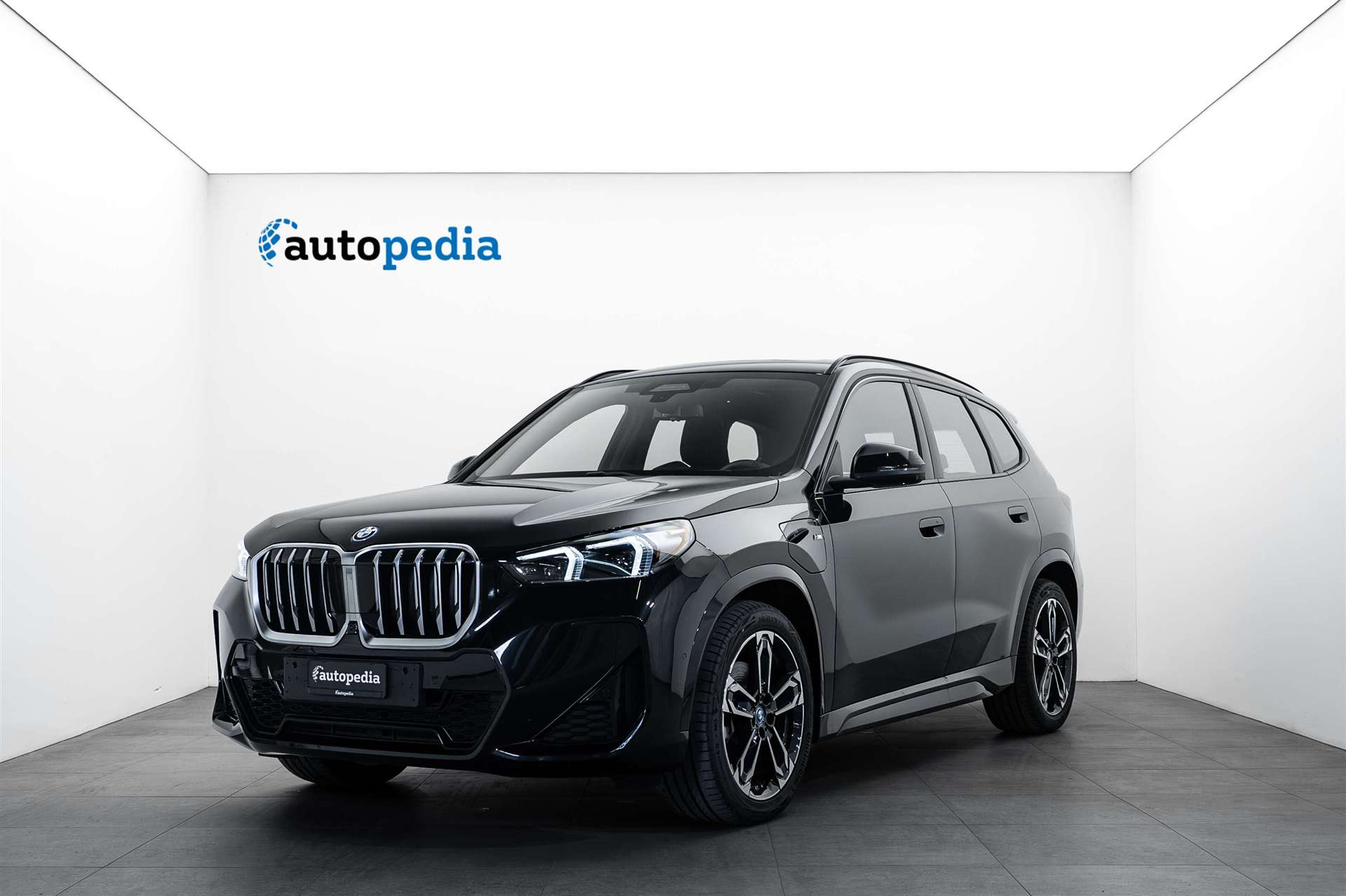 BMW BMW X1 xDrive 25e M Sport 245PS Automat-image-0