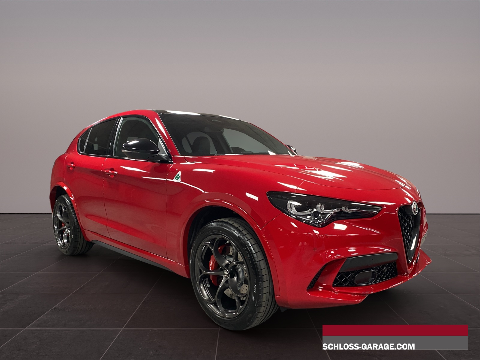 ALFA ROMEO STELVIO 2.9 V6 Biturbo Q4 Q-image-6
