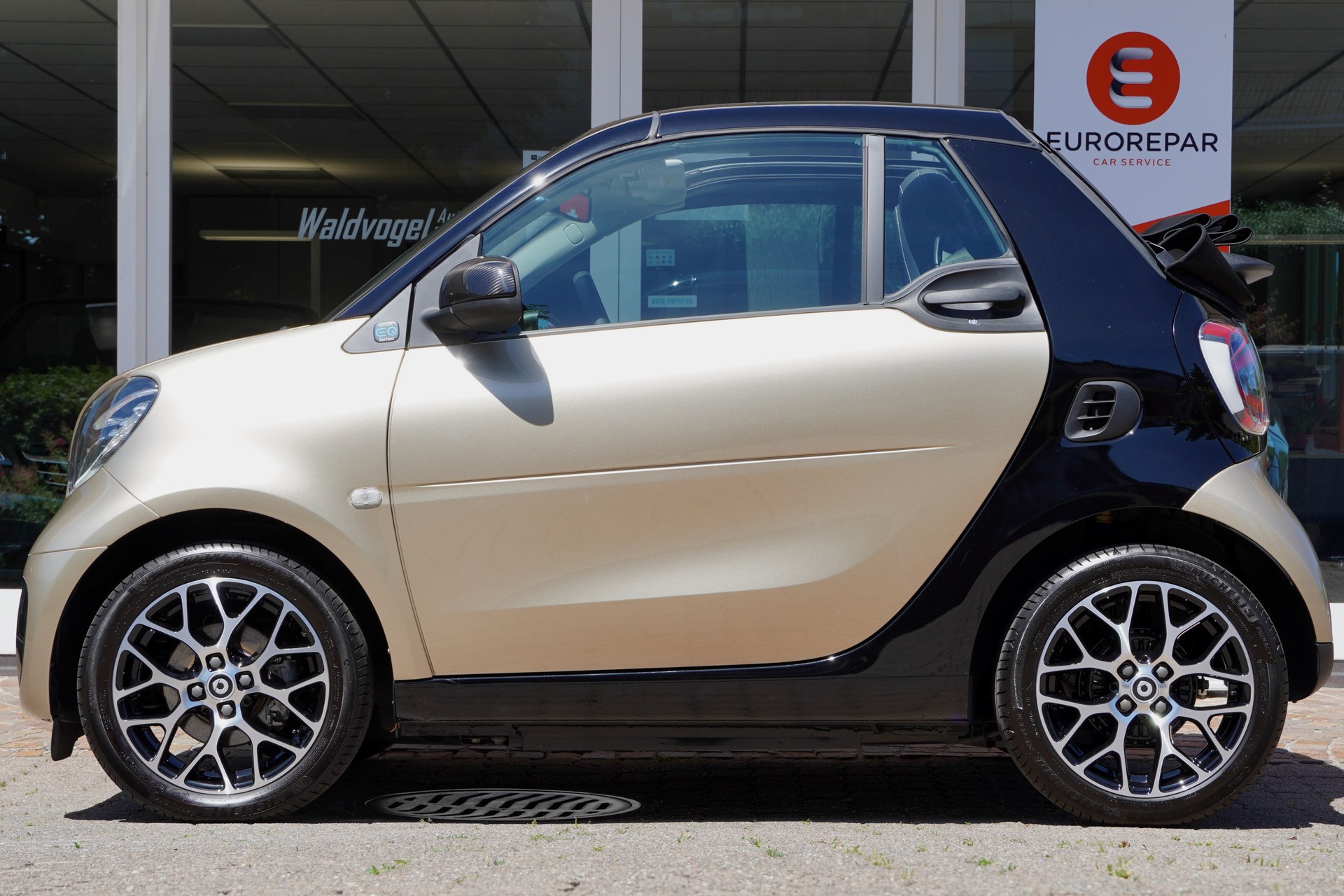 SMART fortwo EQ prime (incl. battery)-image-5