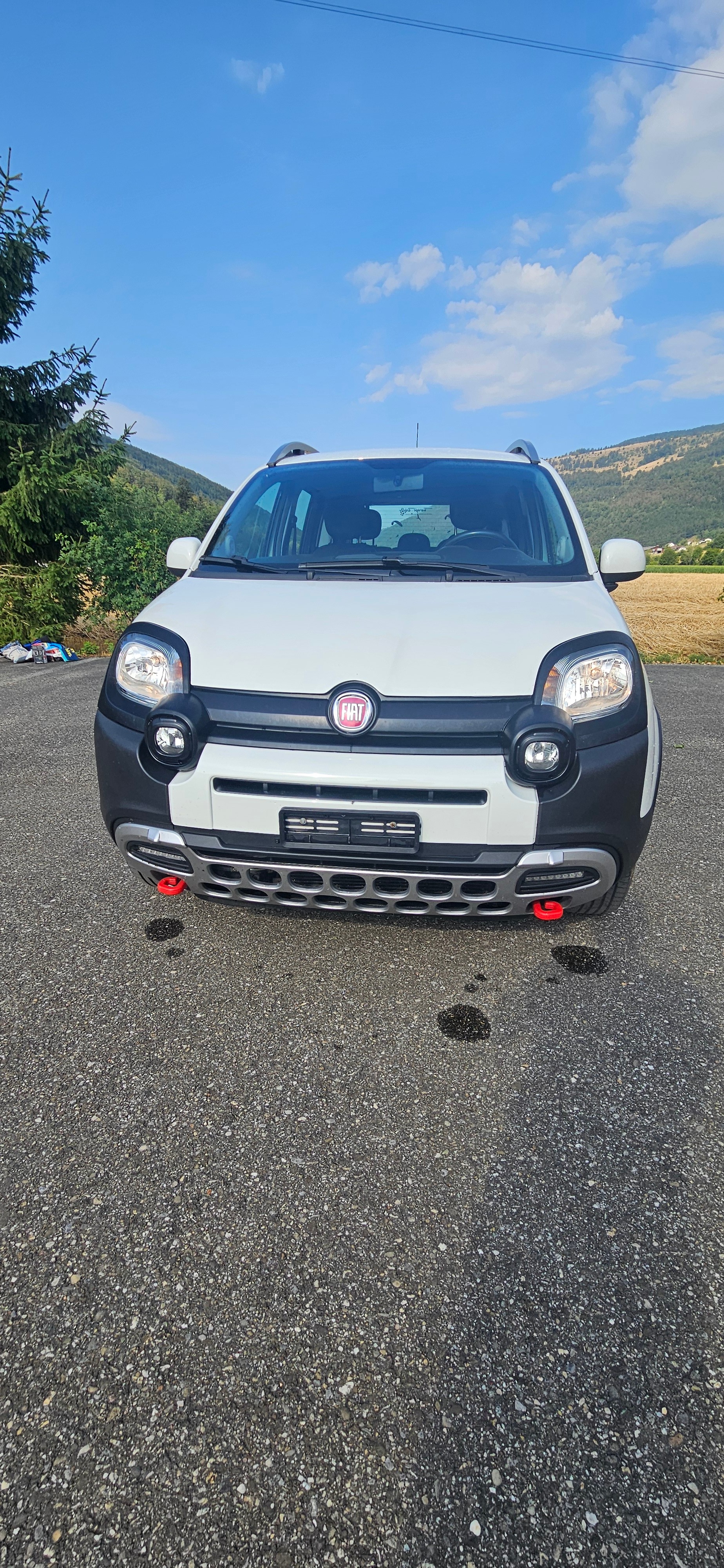 FIAT 1.3 JTD Cross 4x4 S/S-image-1