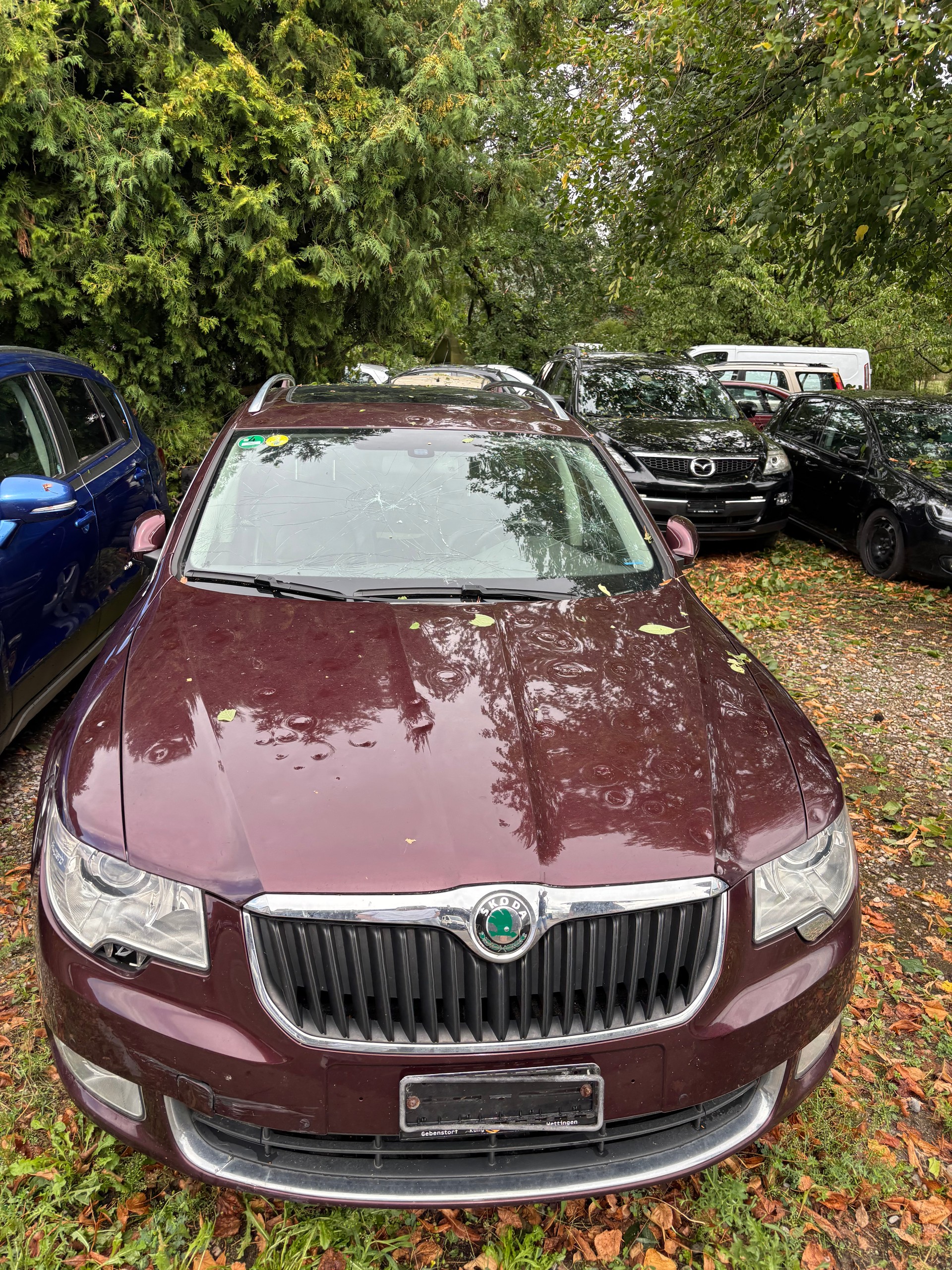 SKODA Superb Combi 3.6 FSI Elegance 4x4 DSG-image-1