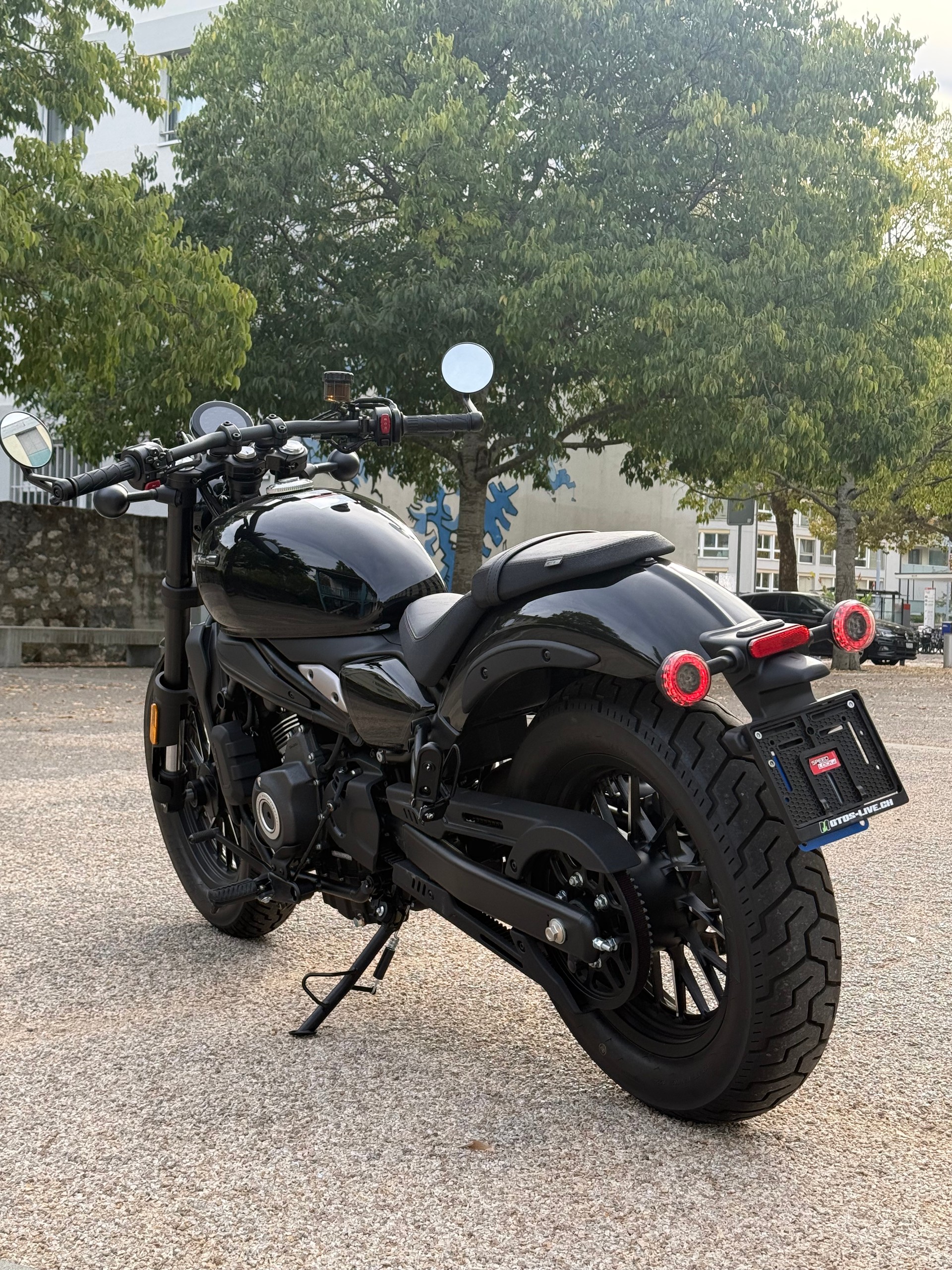 CF MOTO 450 CL-C-image-6