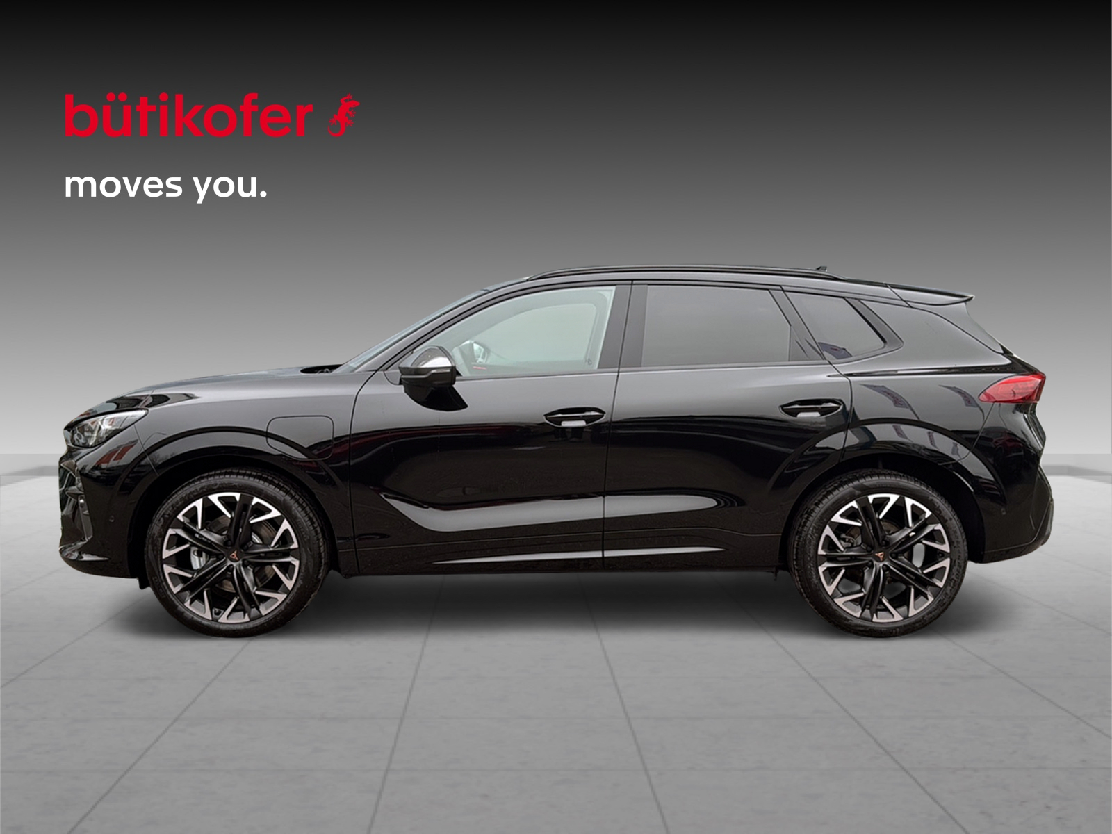 CUPRA Terramar 1.5 eHybrid Business Edition DSG-image-2