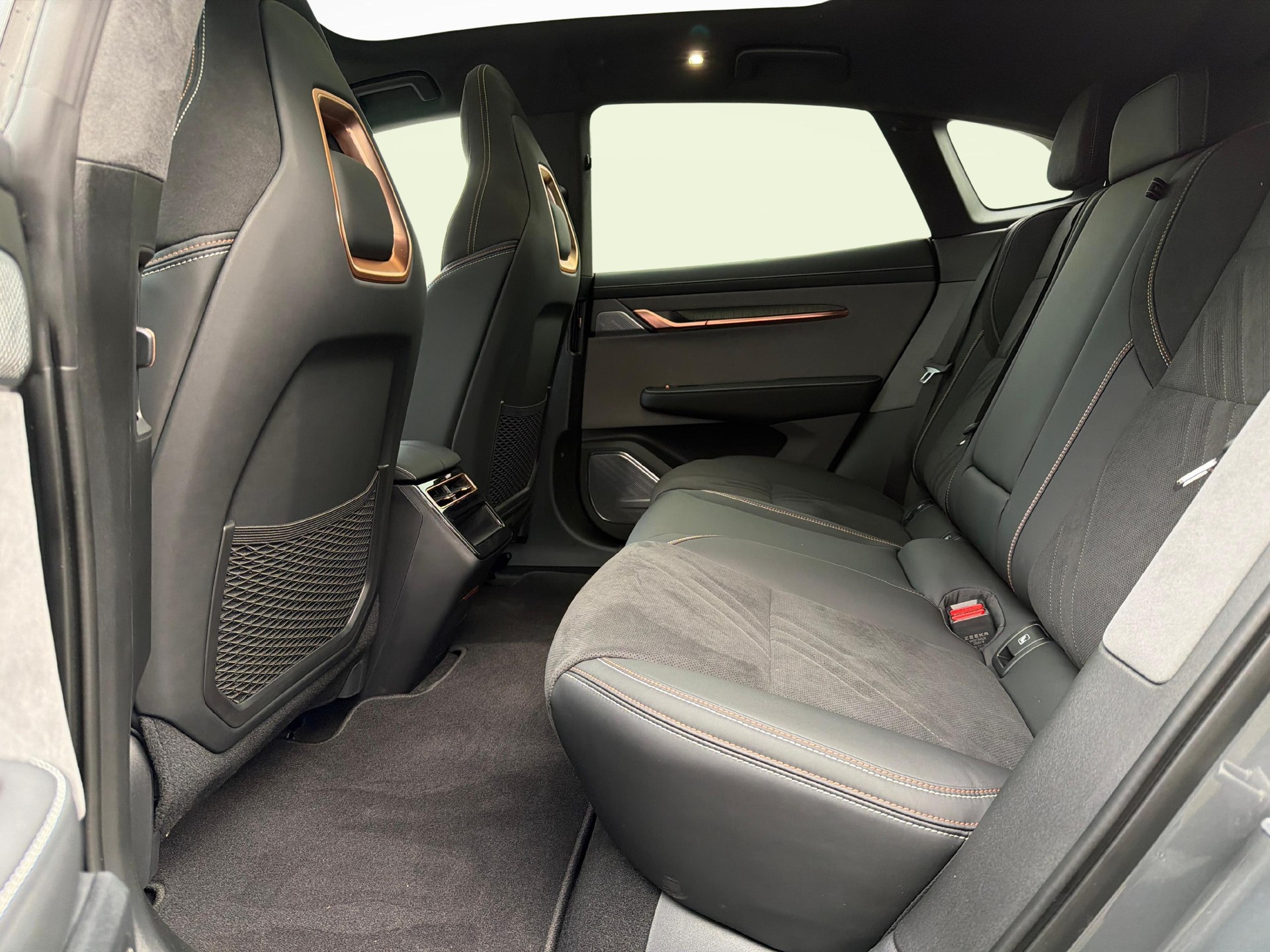 ZEEKR 001 Performance AWD-image-11