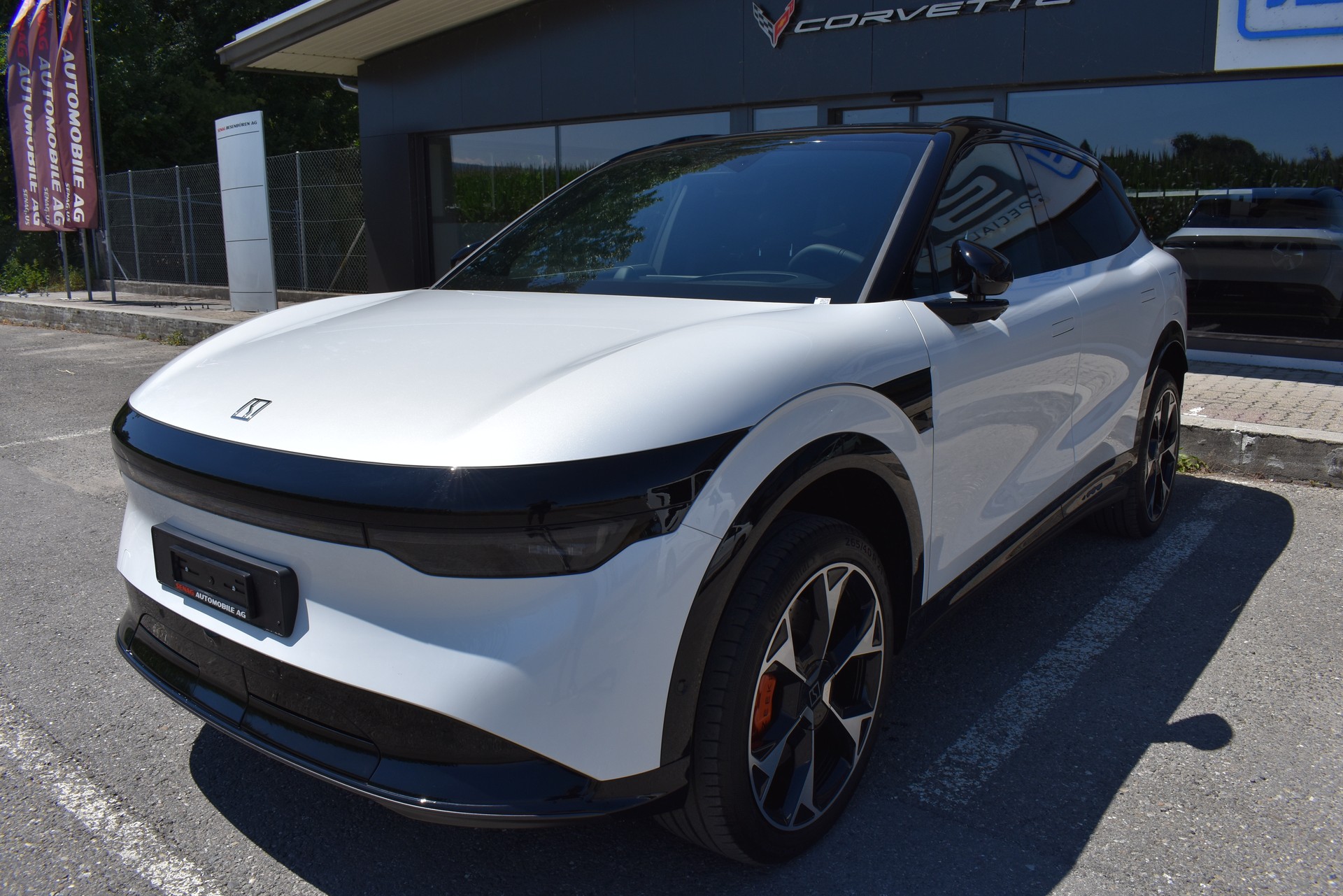 ZEEKR 7X 100kWh Privilege AWD-image-0