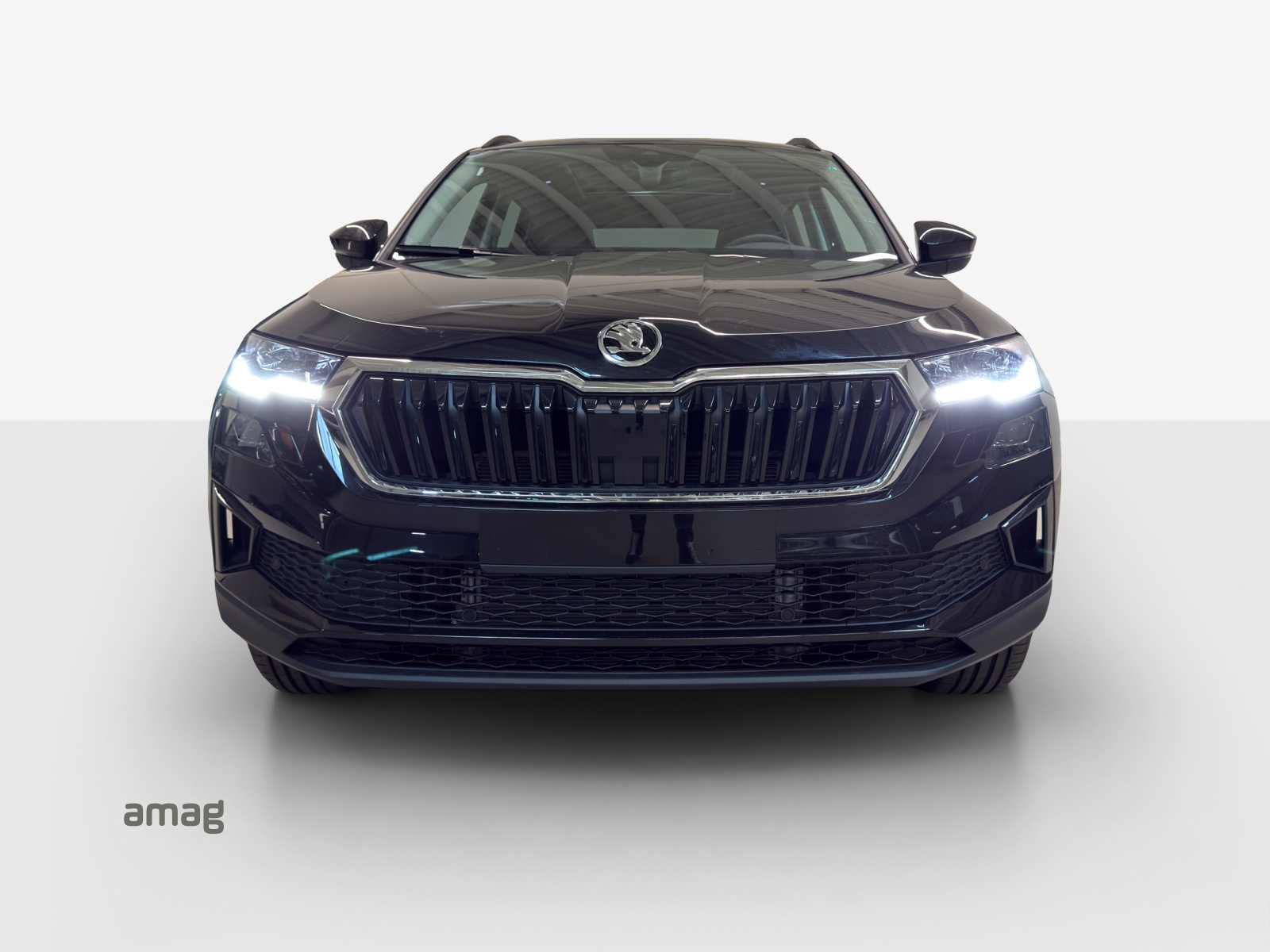 SKODA Karoq 1.5 TSI Dynamic DSG-image-6