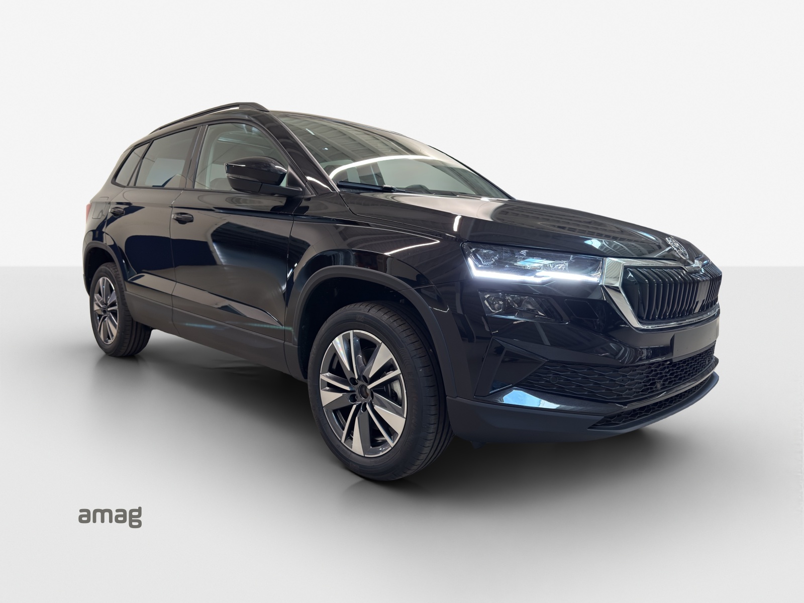 SKODA Karoq 1.5 TSI Dynamic DSG-image-5