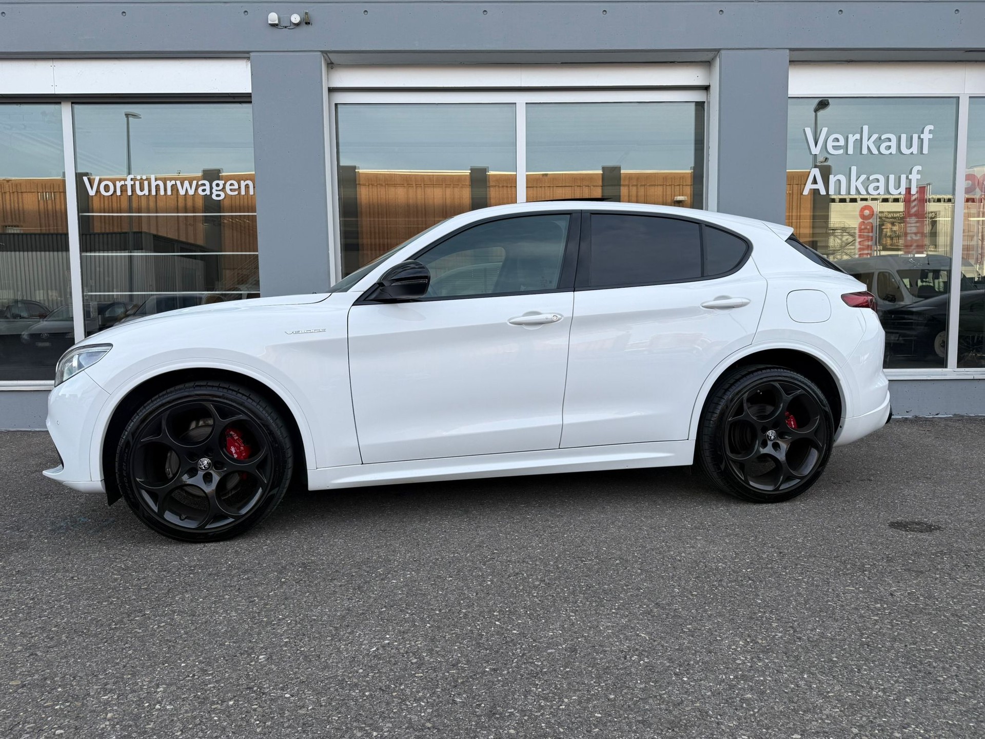 ALFA ROMEO Stelvio 2.0 280PS Veloce Premium 21 Zoll Sky Q4-image-4