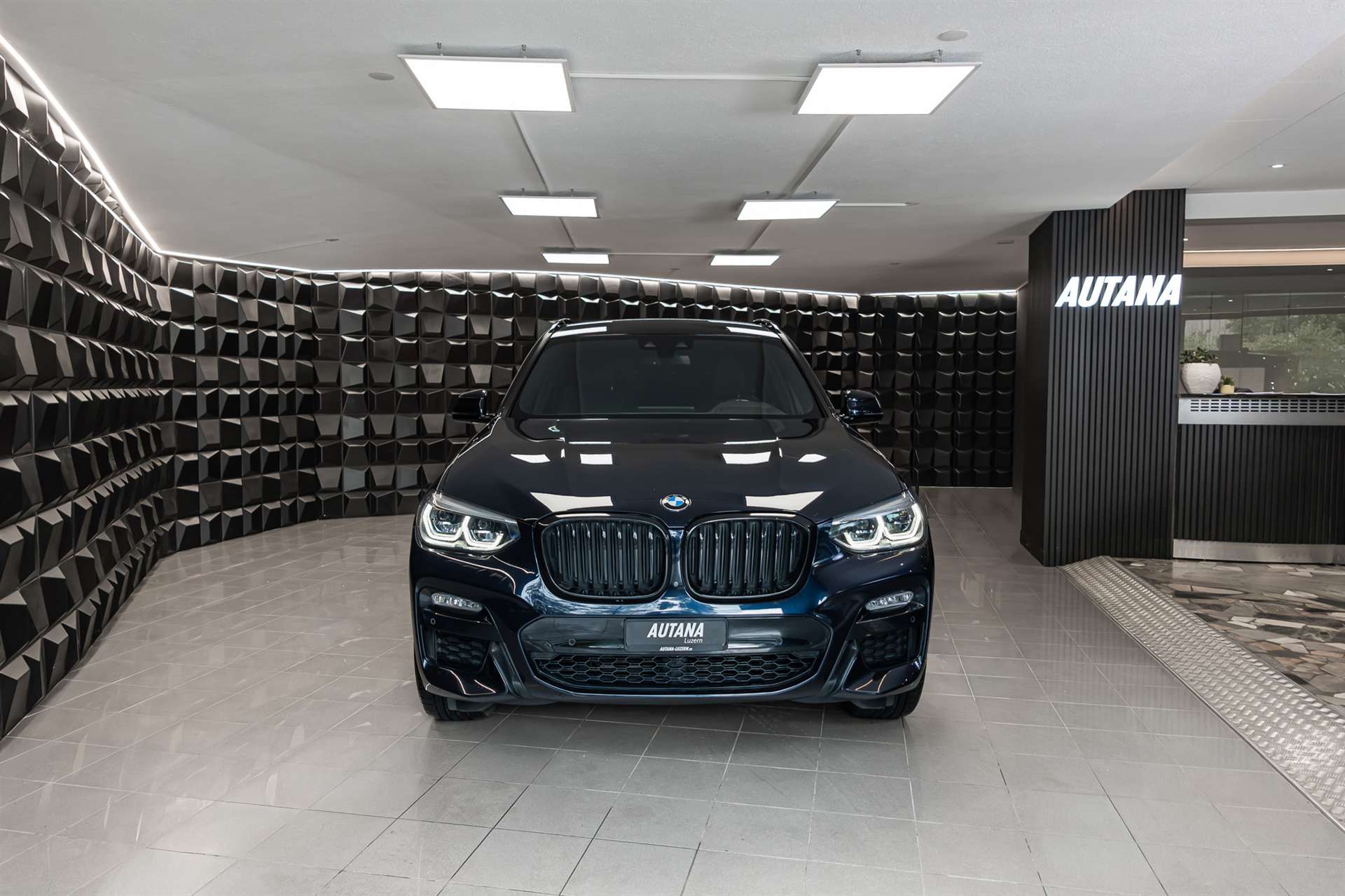 BMW X3 xDrive 30d Individual M Sport Steptronic-image-3