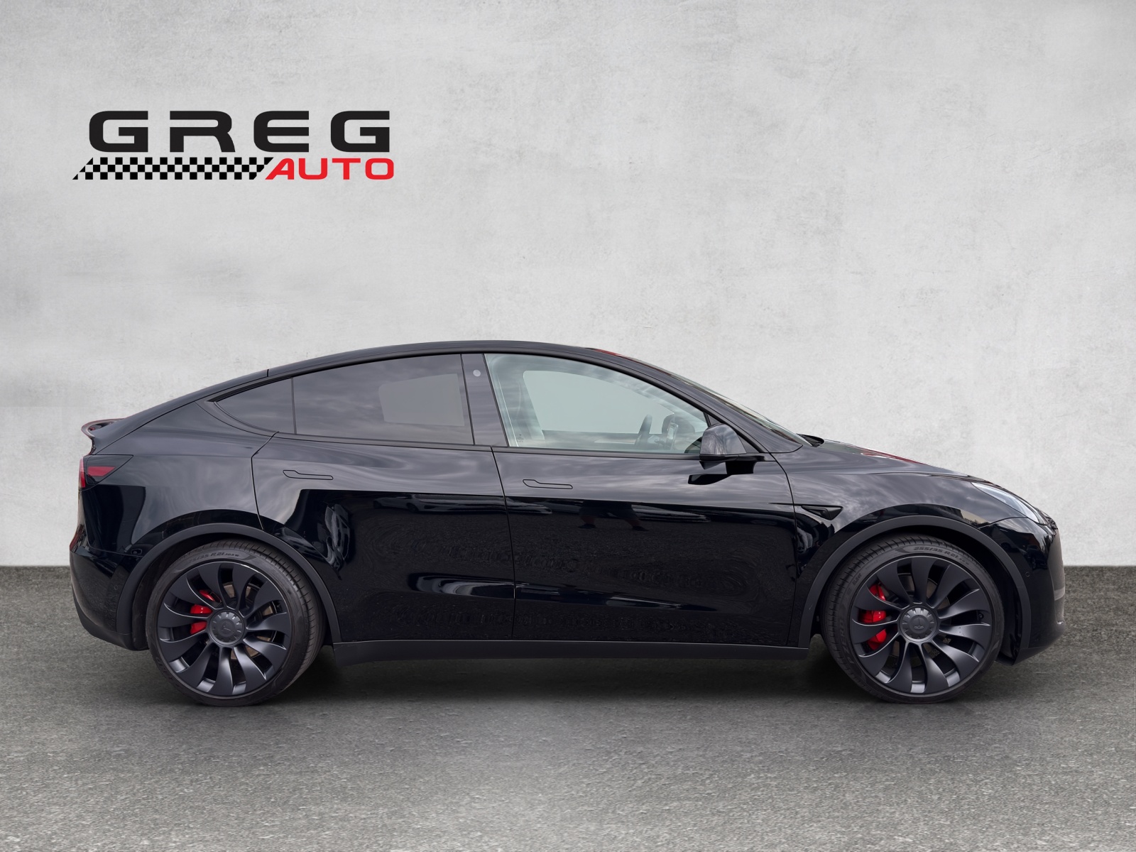 TESLA Performance D-image-5
