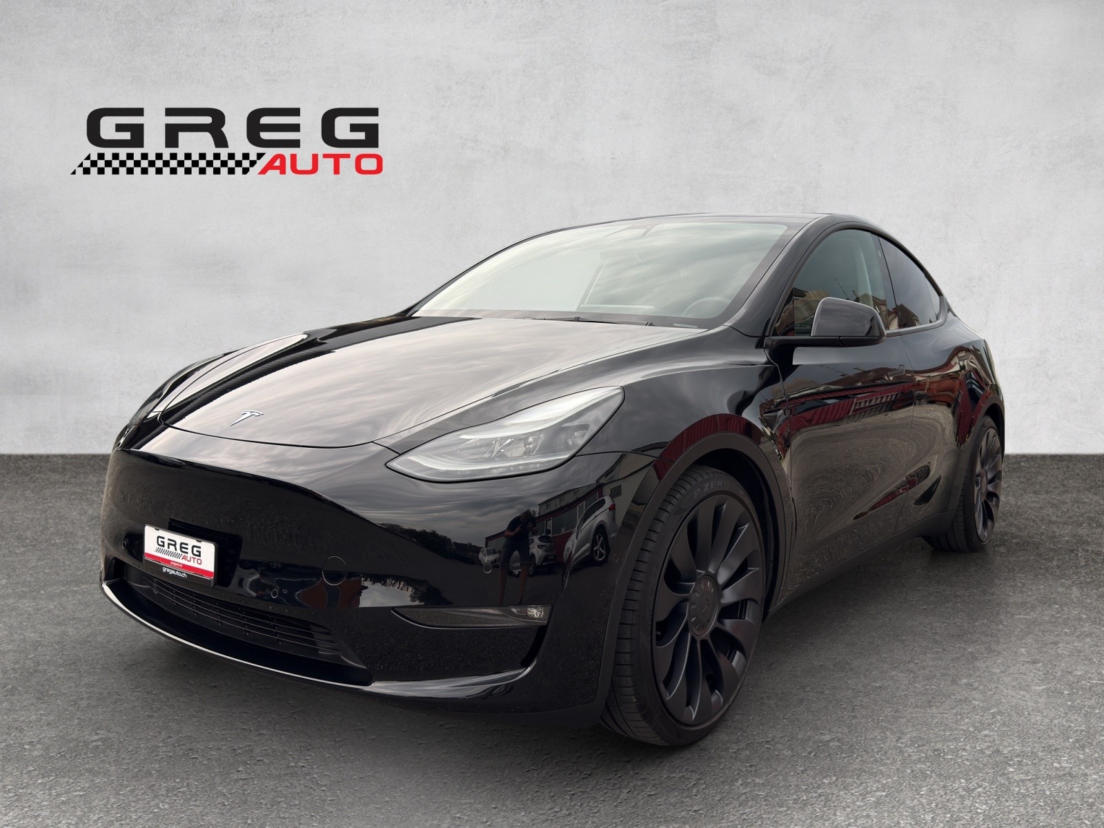 TESLA Performance D-showroom-element-2