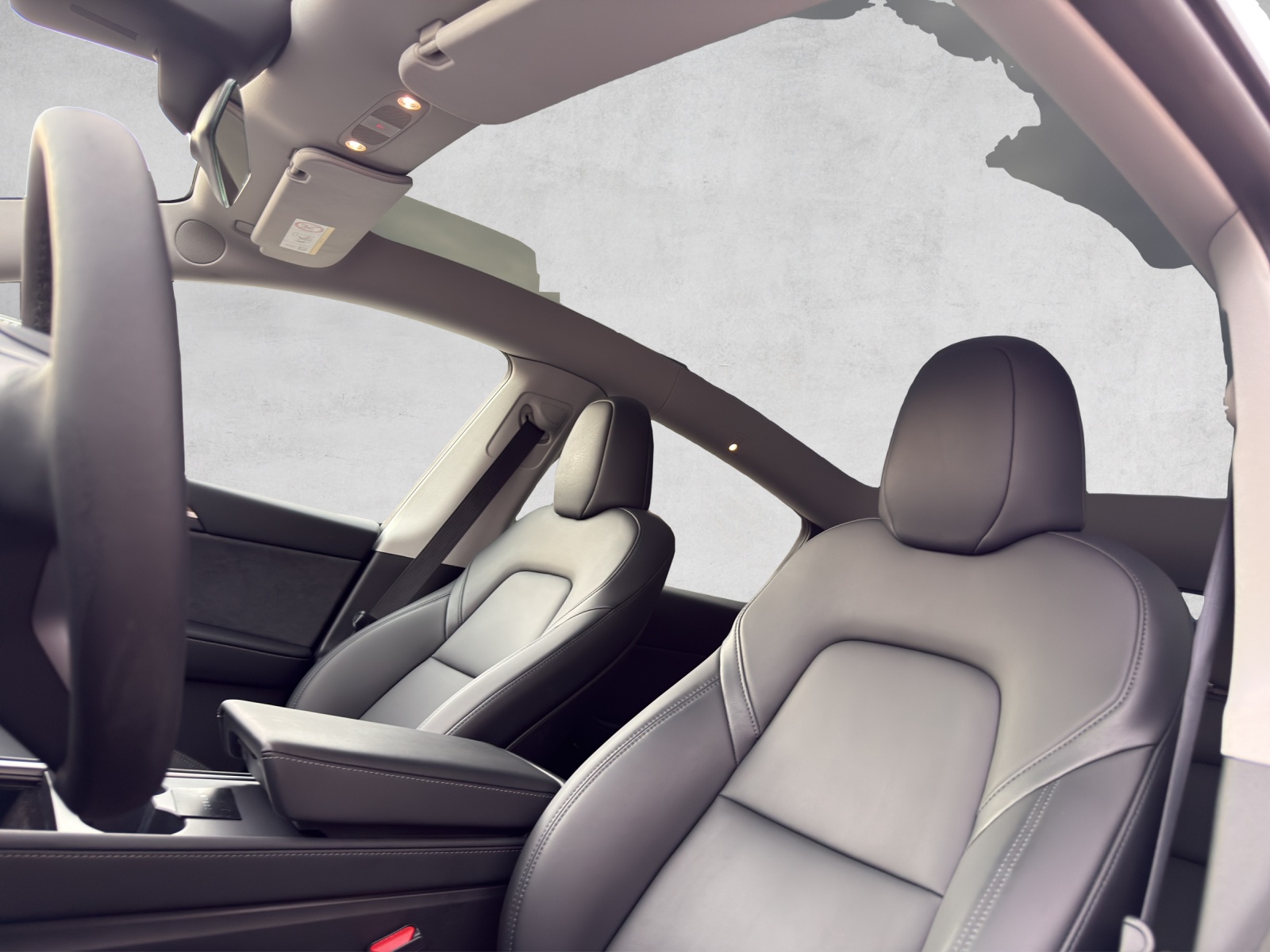 TESLA Performance D-image-16