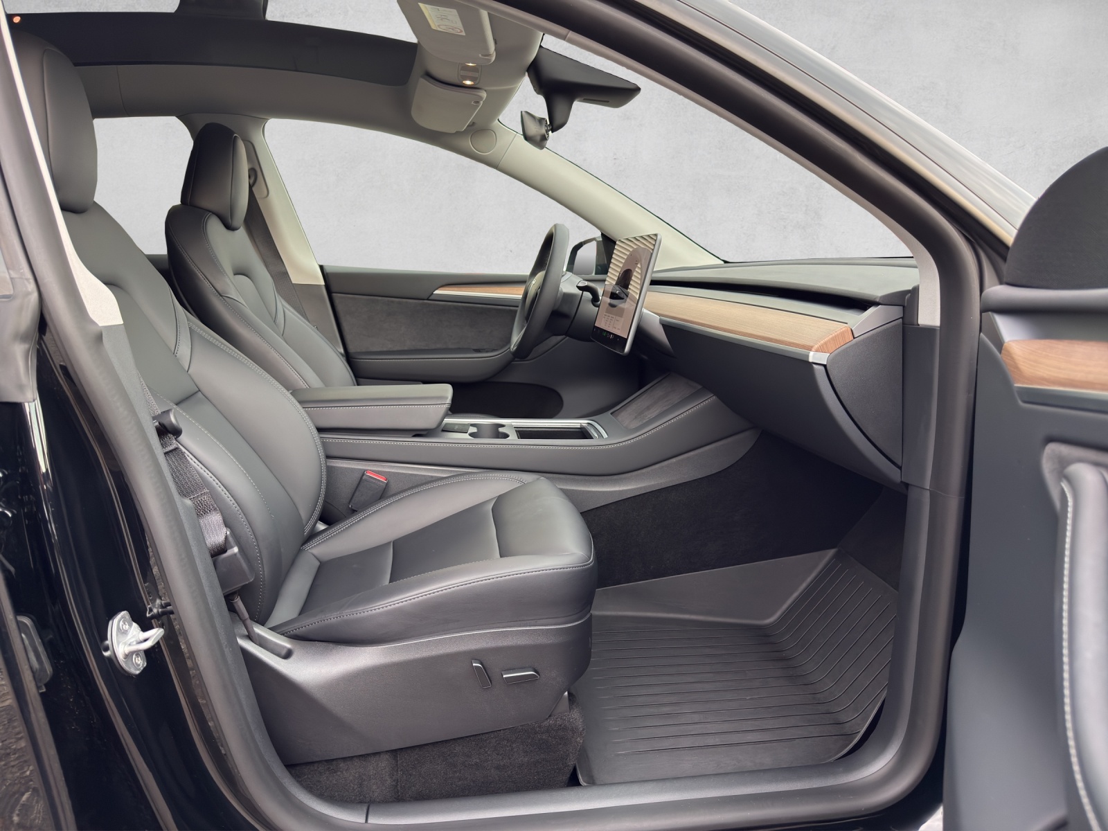 TESLA Performance D-image-17
