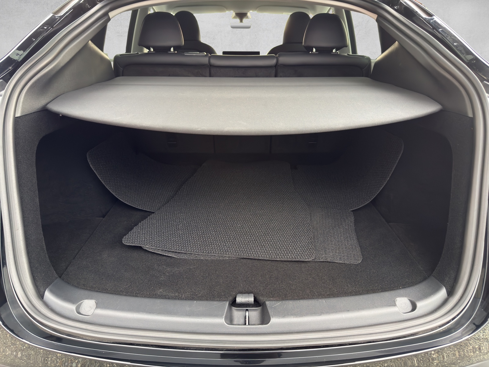 TESLA Performance D-image-21