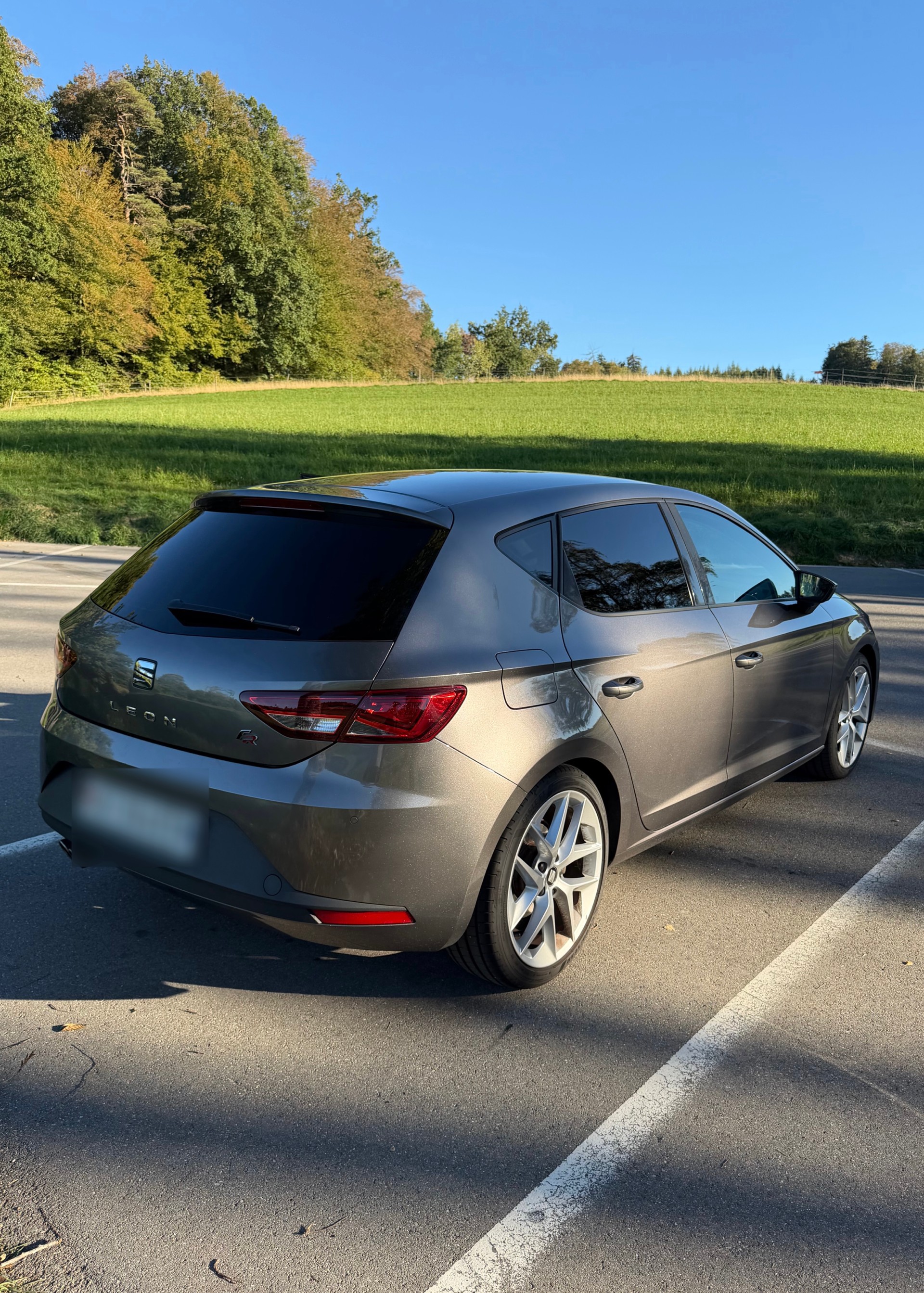 SEAT 2.0 TDI 184 FR-image-3